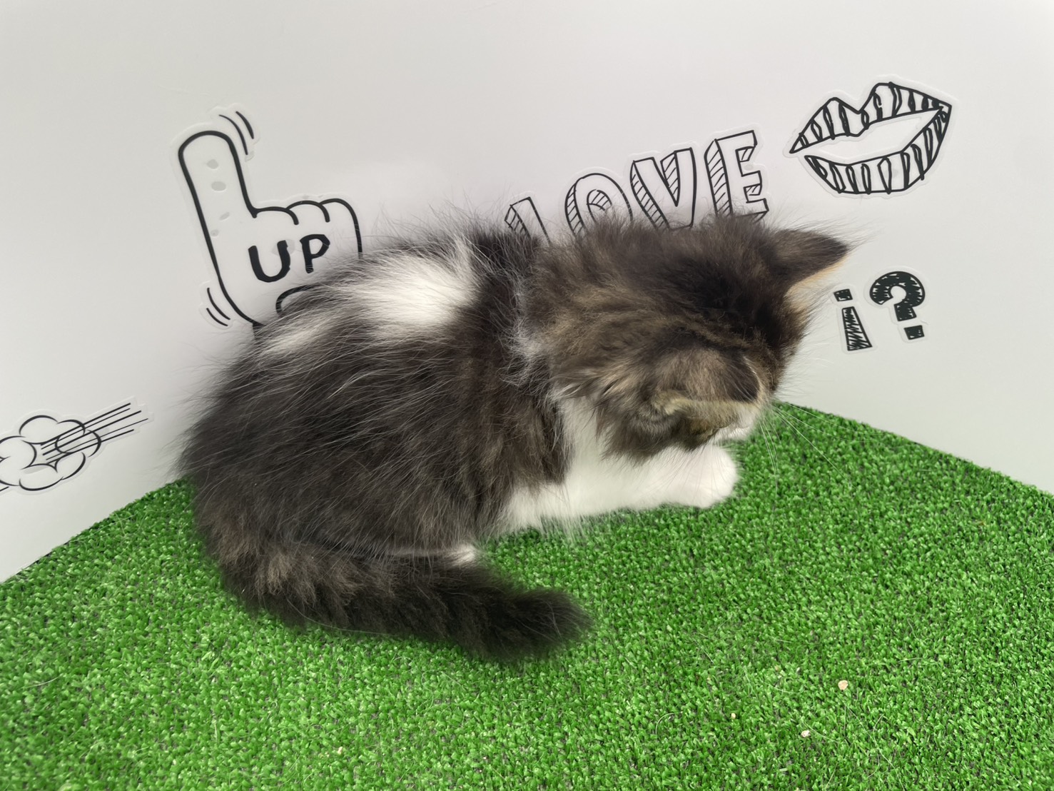 赤ちゃん写真2-3