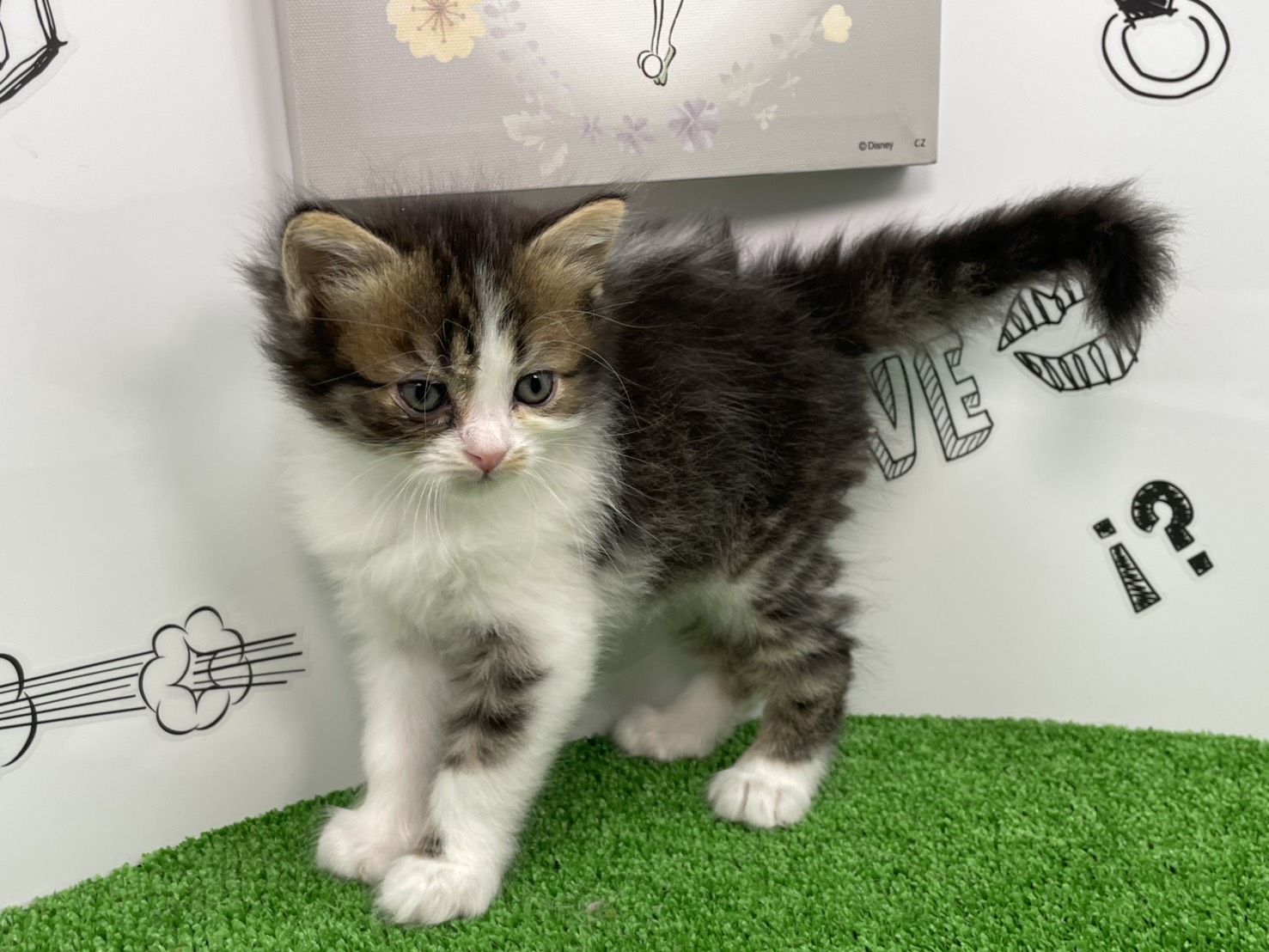 赤ちゃん写真3-1