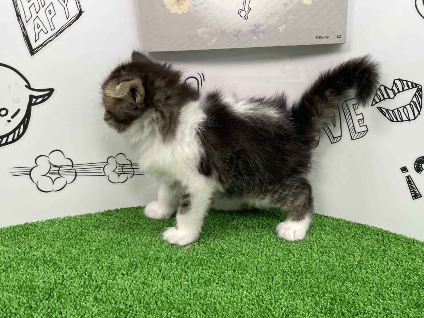 赤ちゃん写真3-2