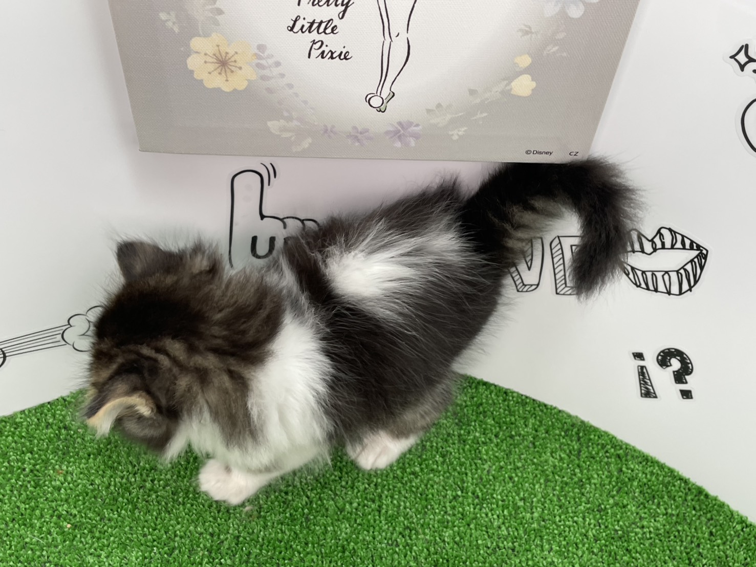 赤ちゃん写真3-3