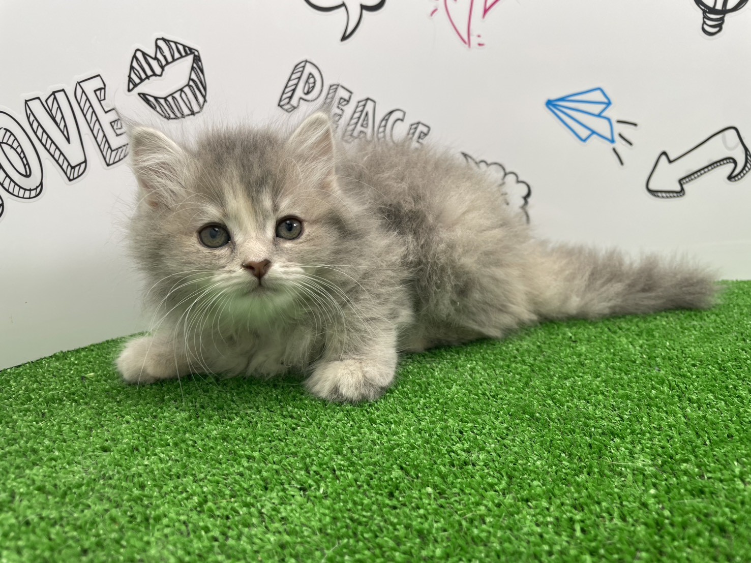 赤ちゃん写真1-1