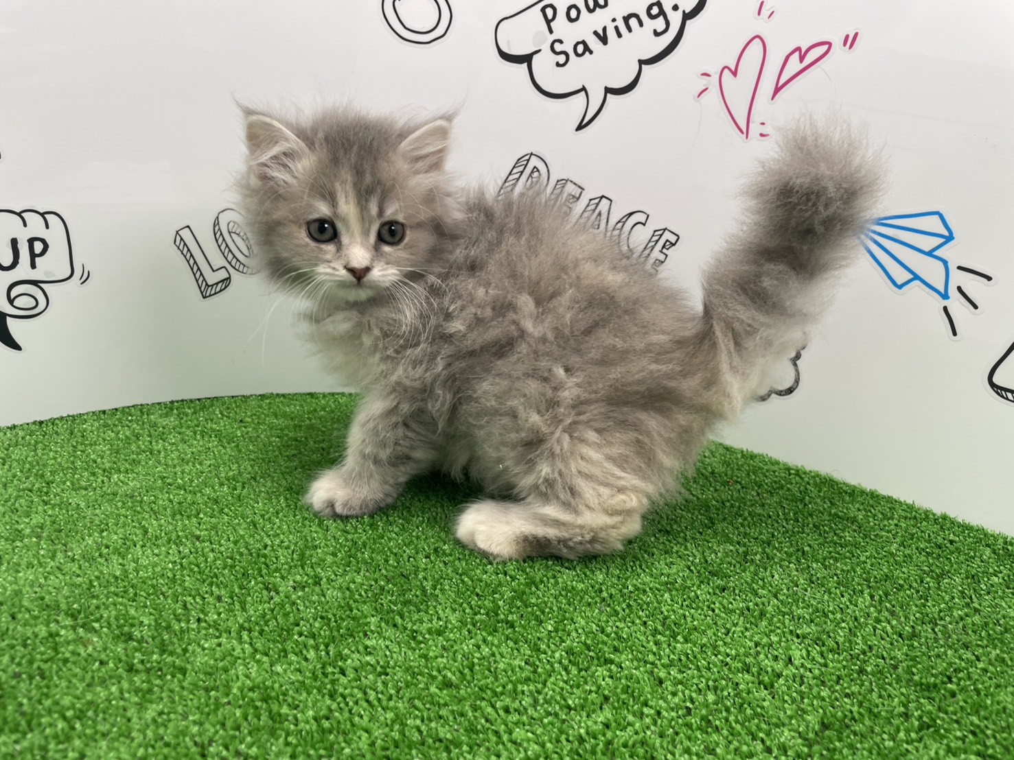 赤ちゃん写真1-2