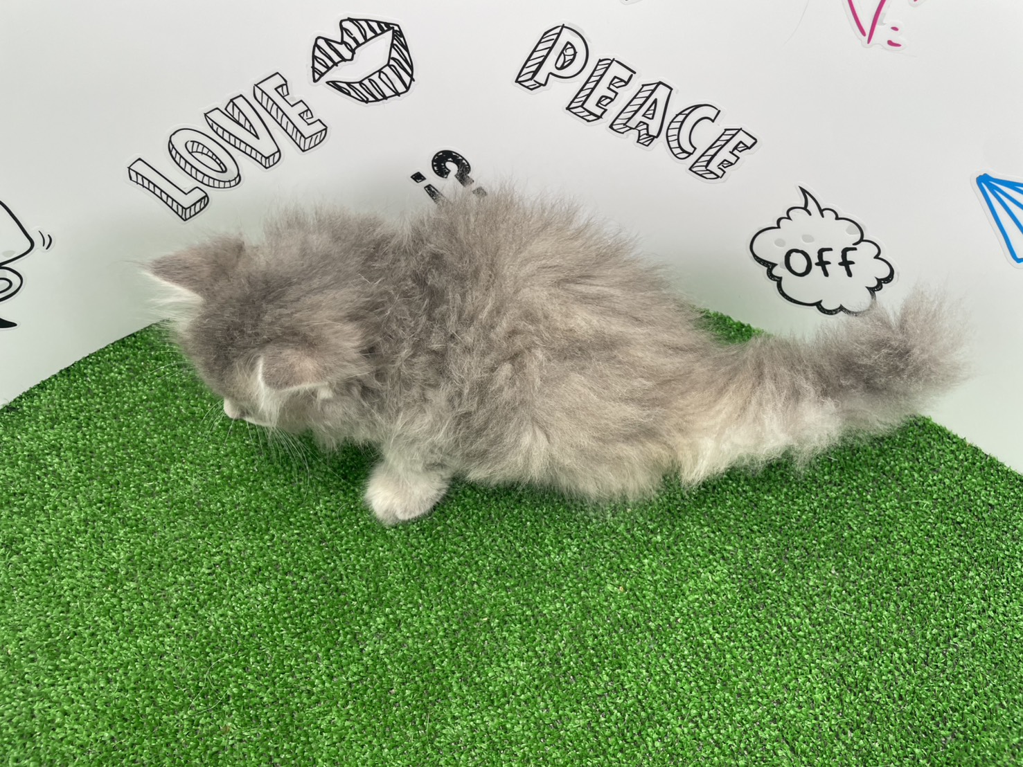 赤ちゃん写真1-3