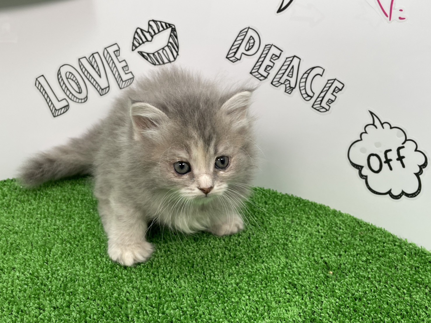 赤ちゃん写真2-1