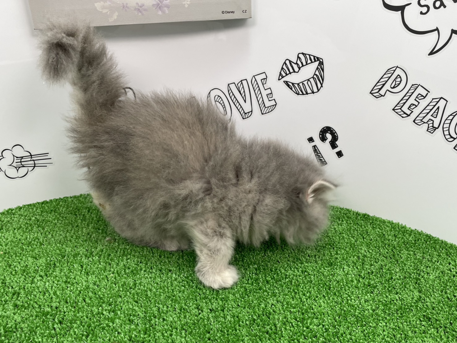 赤ちゃん写真2-2