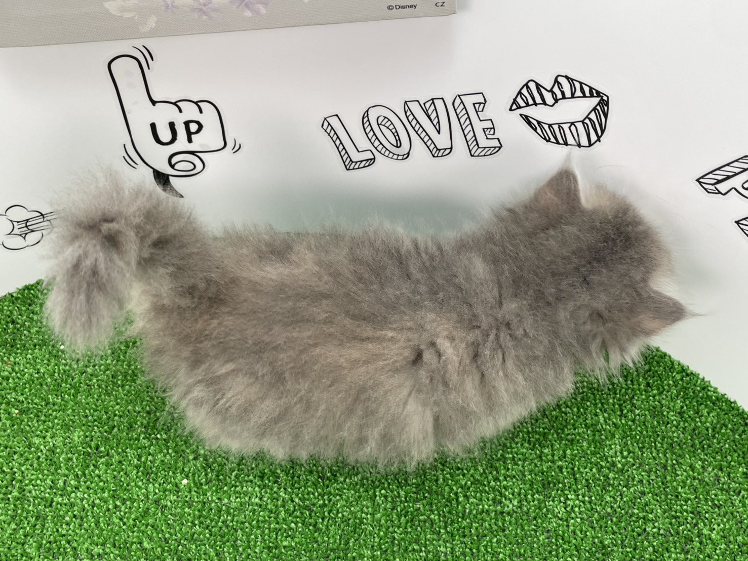 赤ちゃん写真2-3