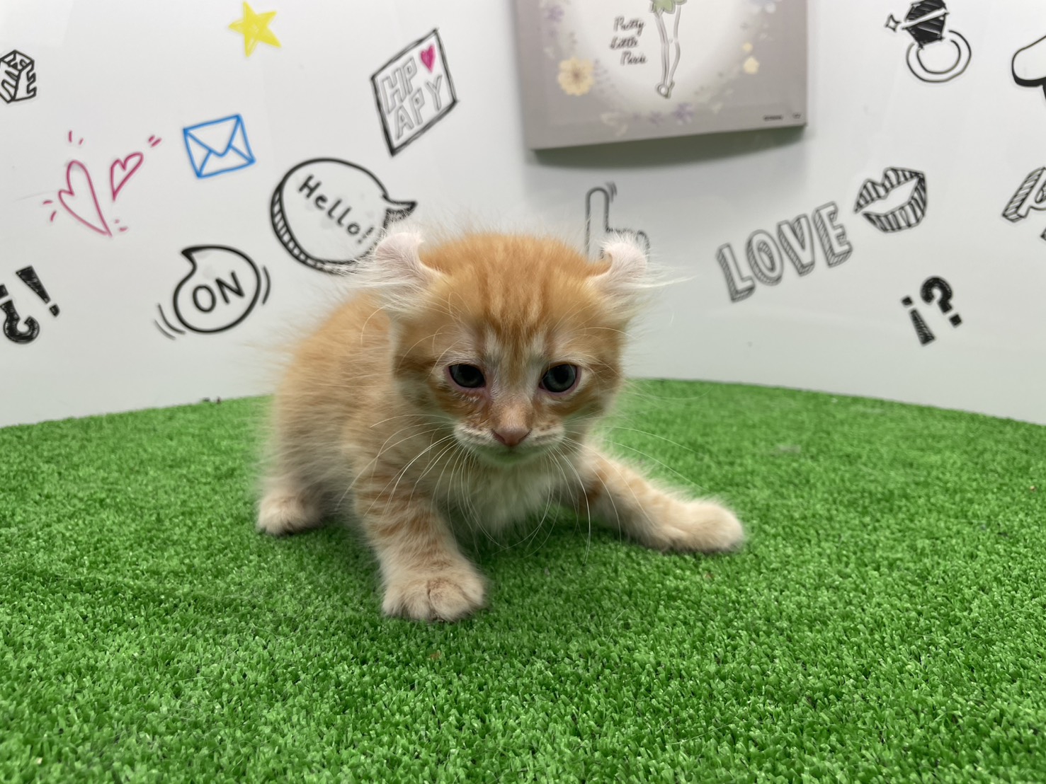 赤ちゃん写真2-1