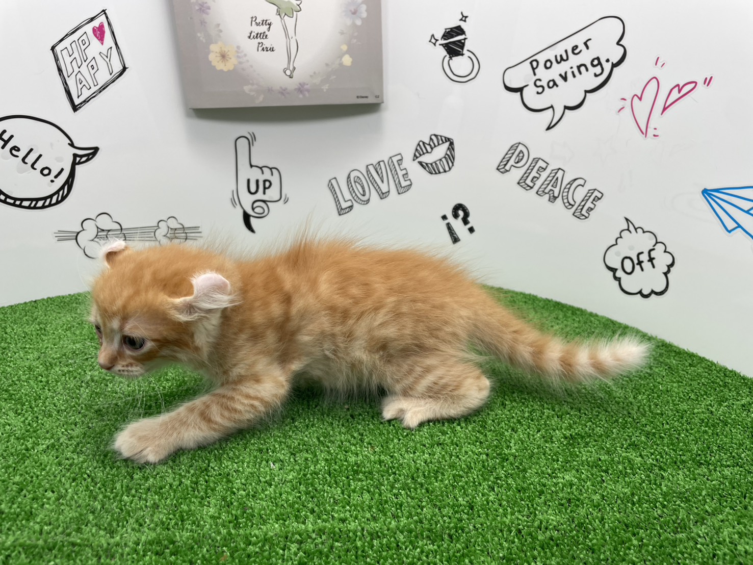 赤ちゃん写真2-2