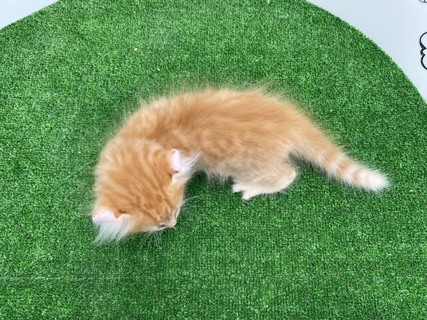 赤ちゃん写真2-3
