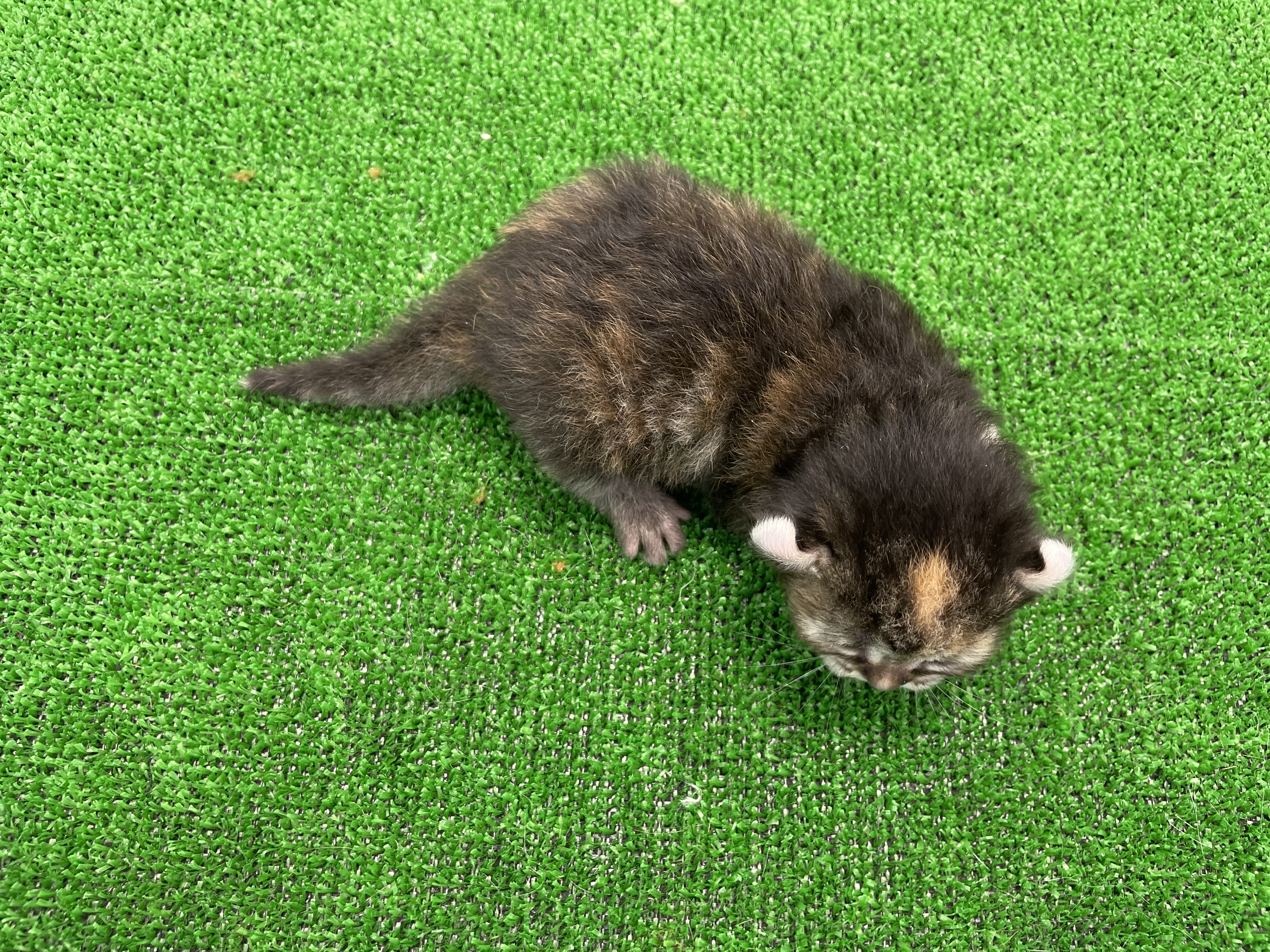 赤ちゃん写真1-3