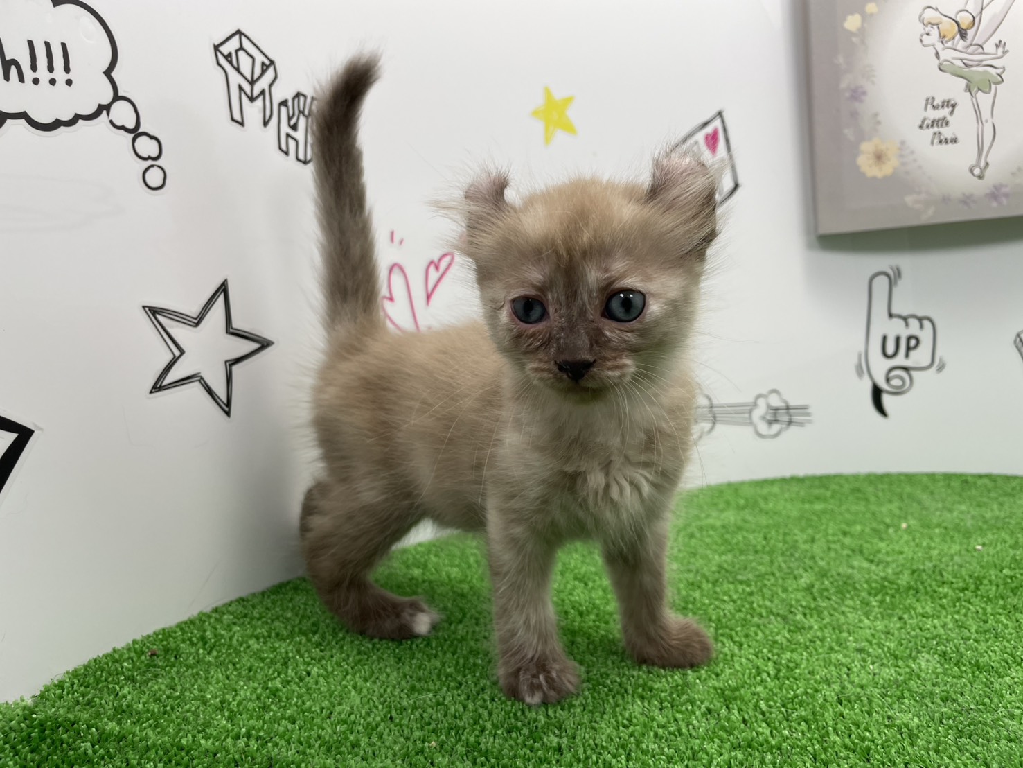 赤ちゃん写真2-1
