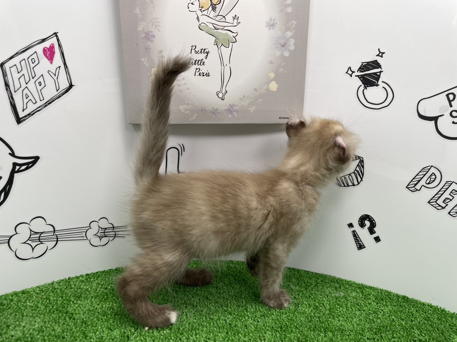 赤ちゃん写真2-2