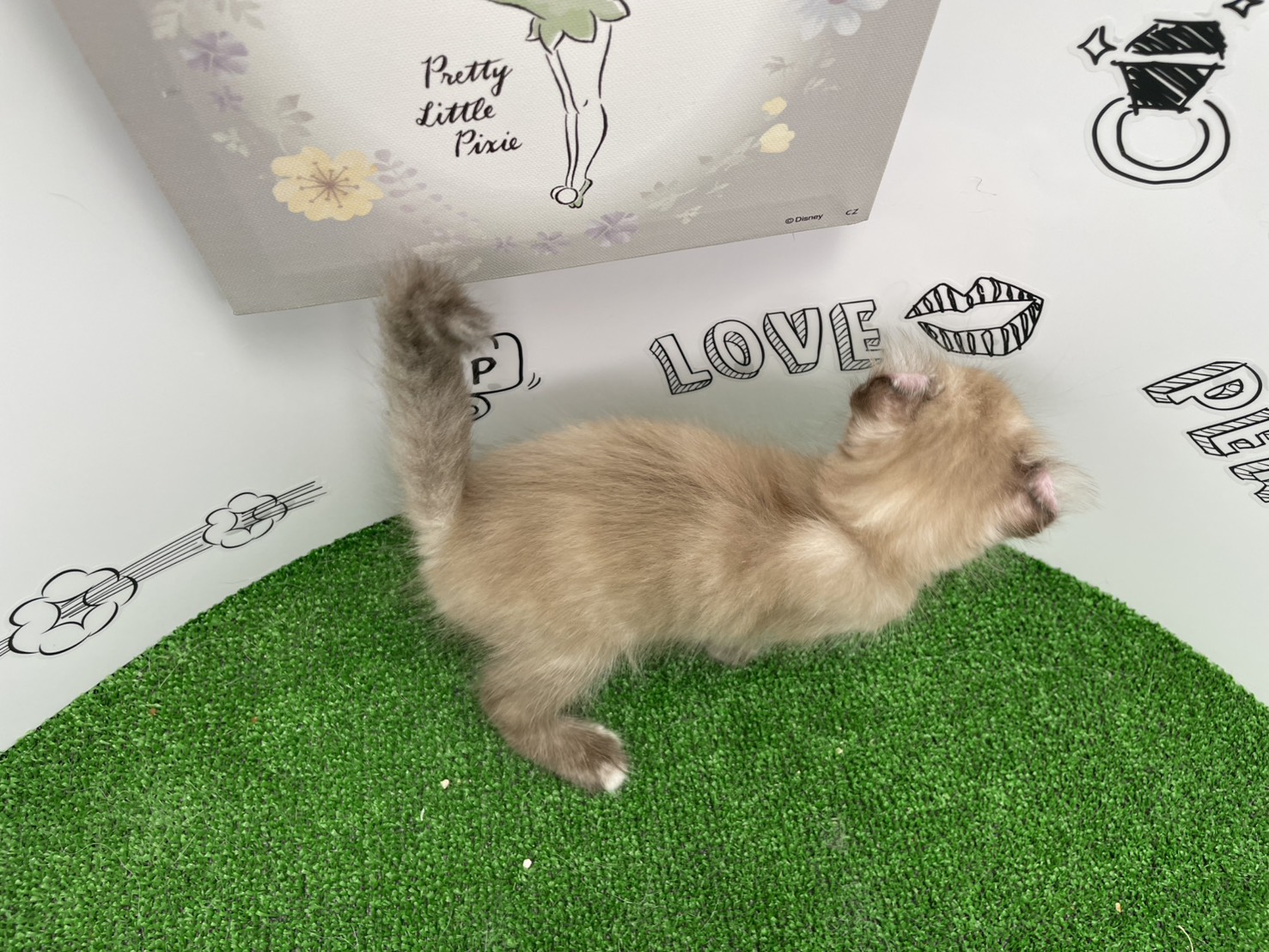 赤ちゃん写真2-3