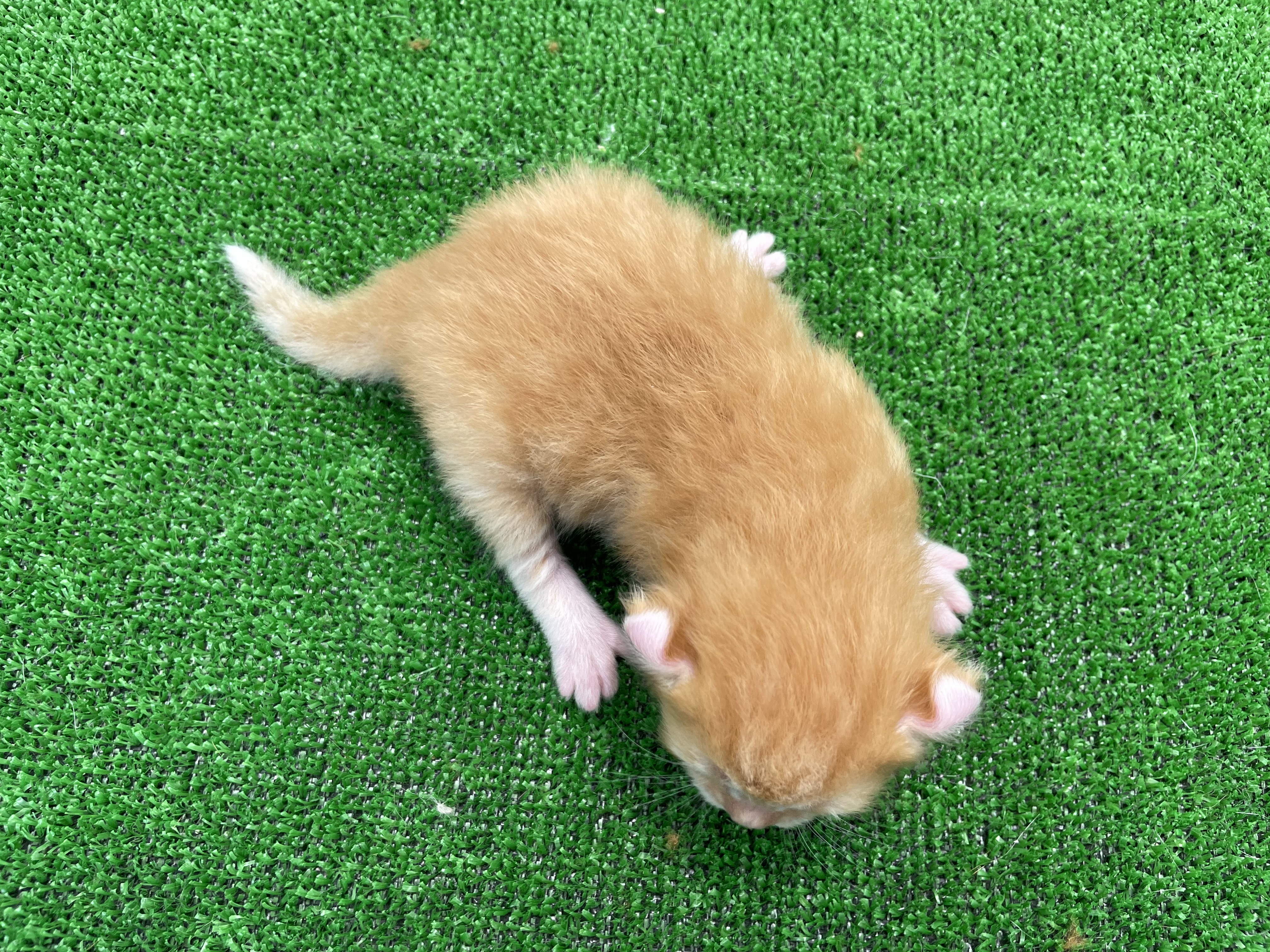 赤ちゃん写真1-3