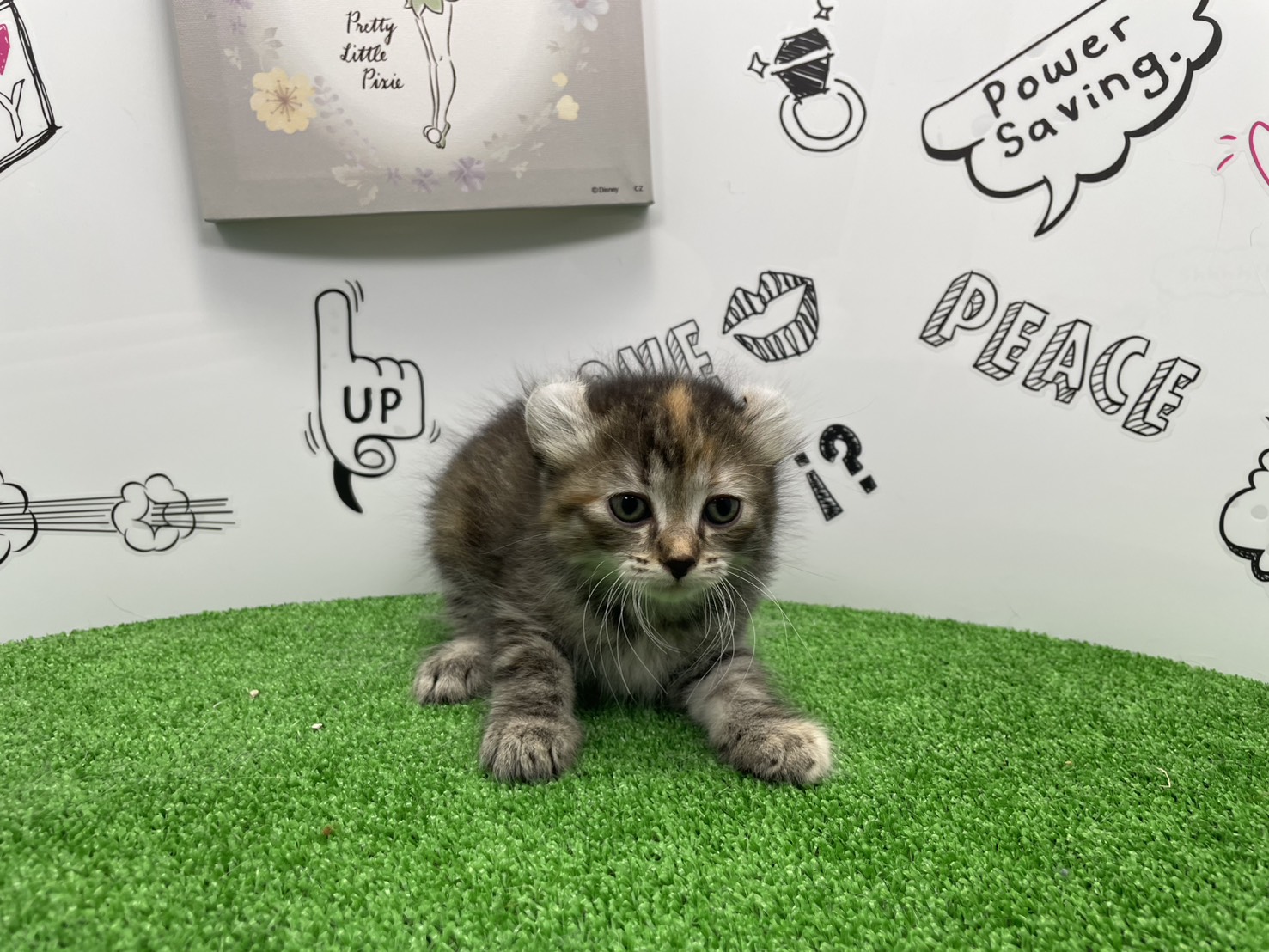 赤ちゃん写真2-1