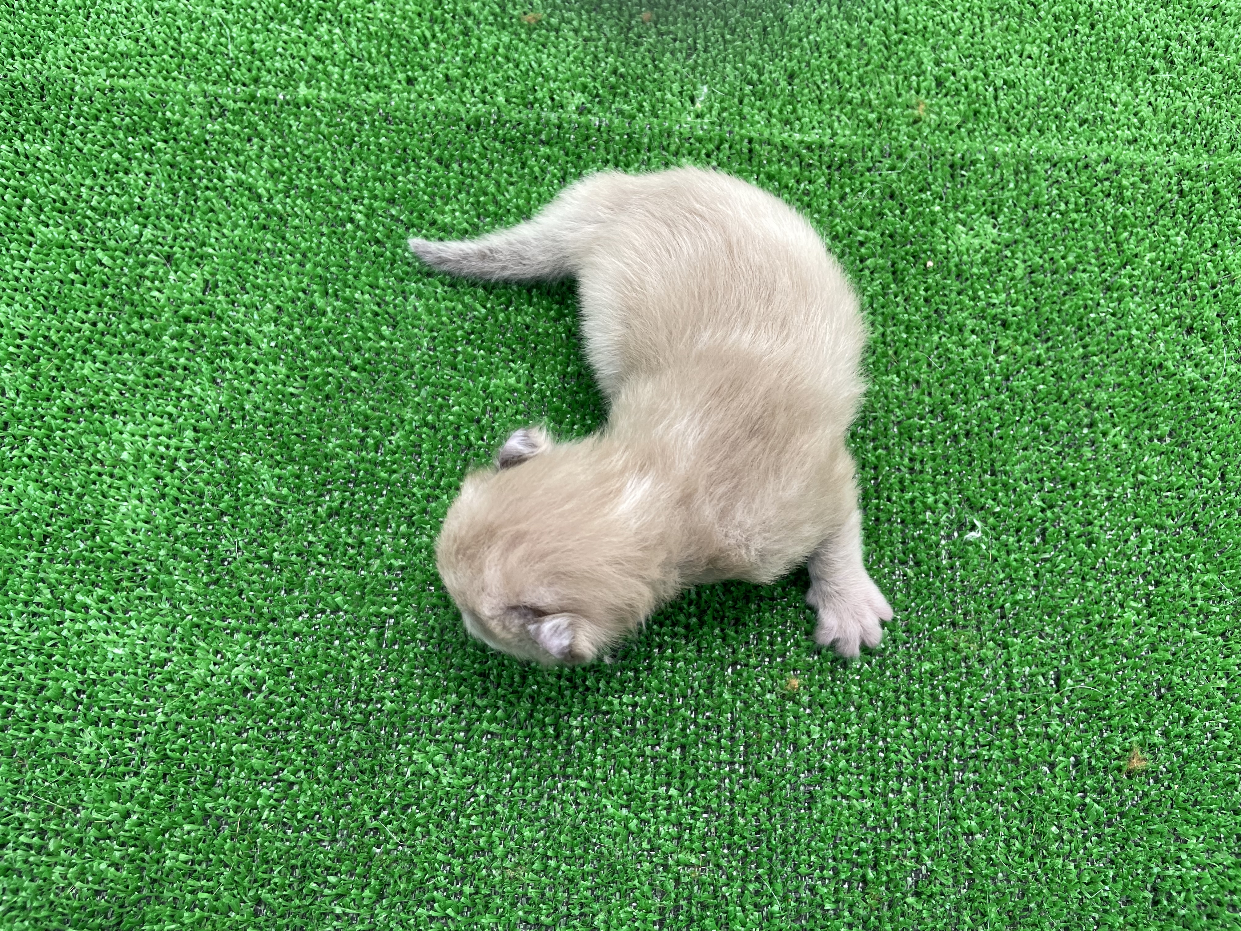 赤ちゃん写真1-2