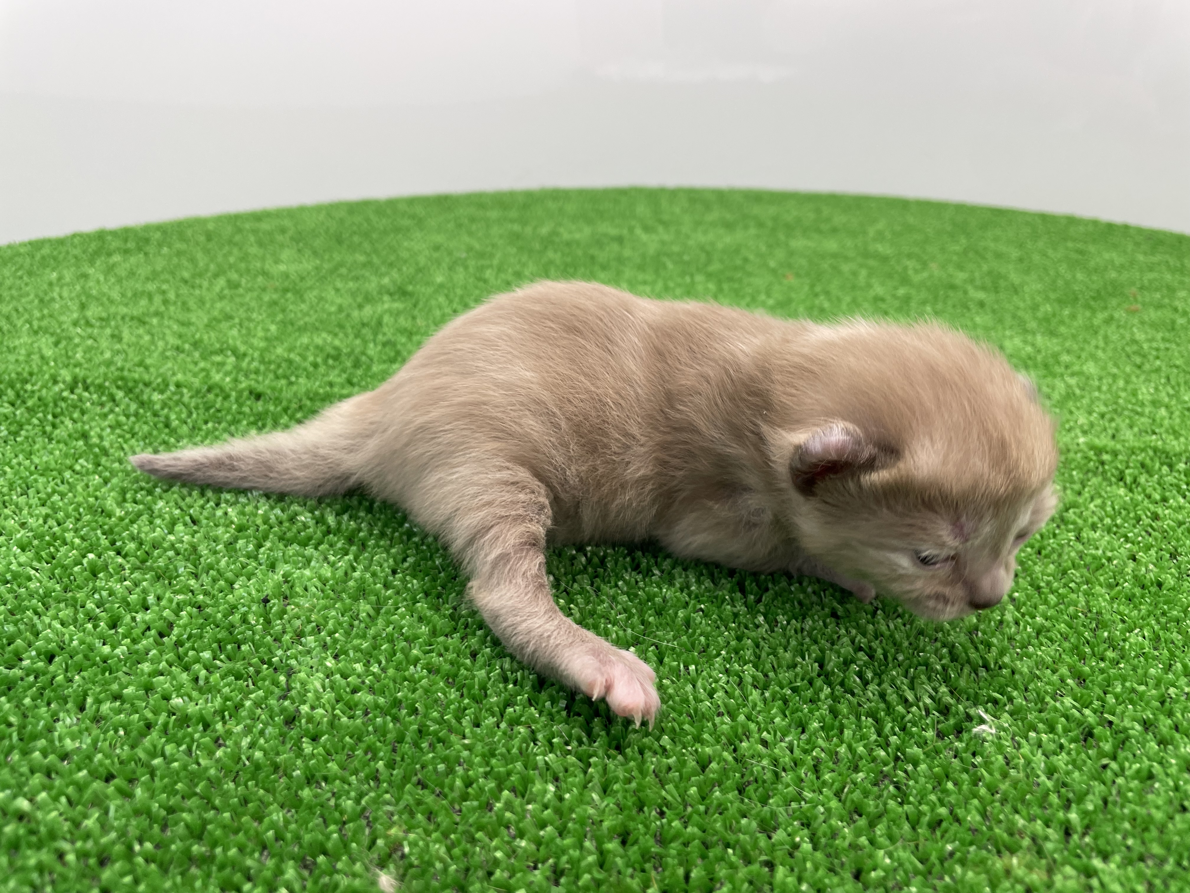 赤ちゃん写真1-3