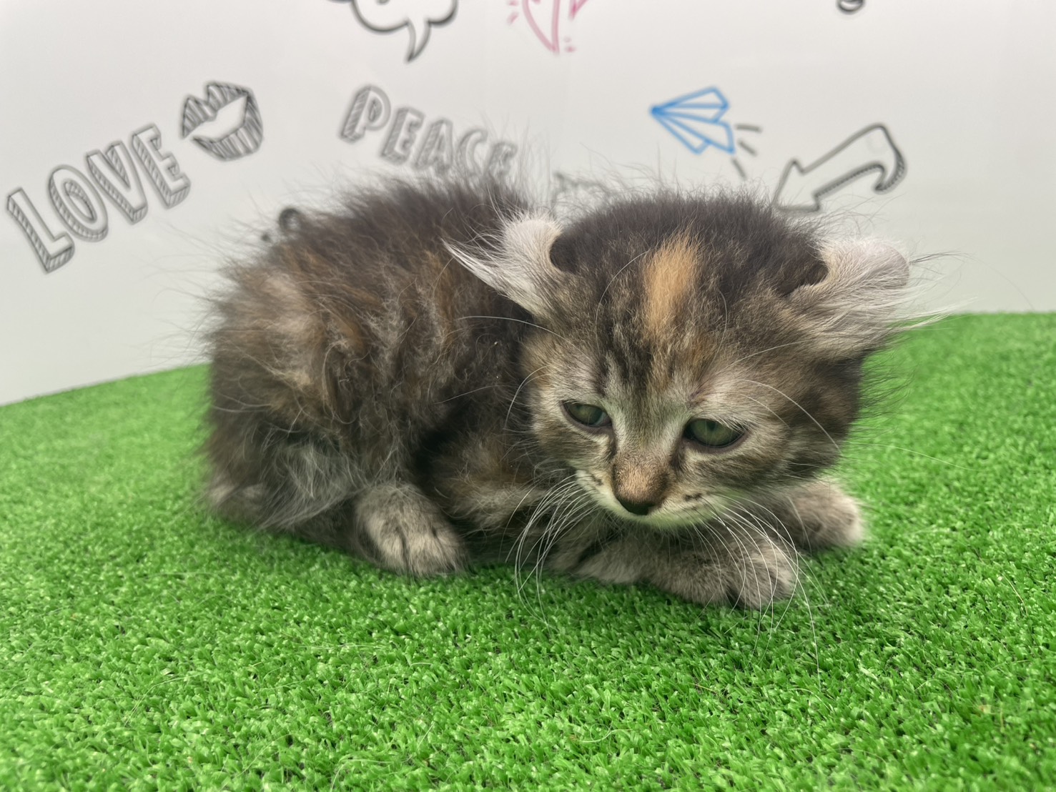 赤ちゃん写真3-2