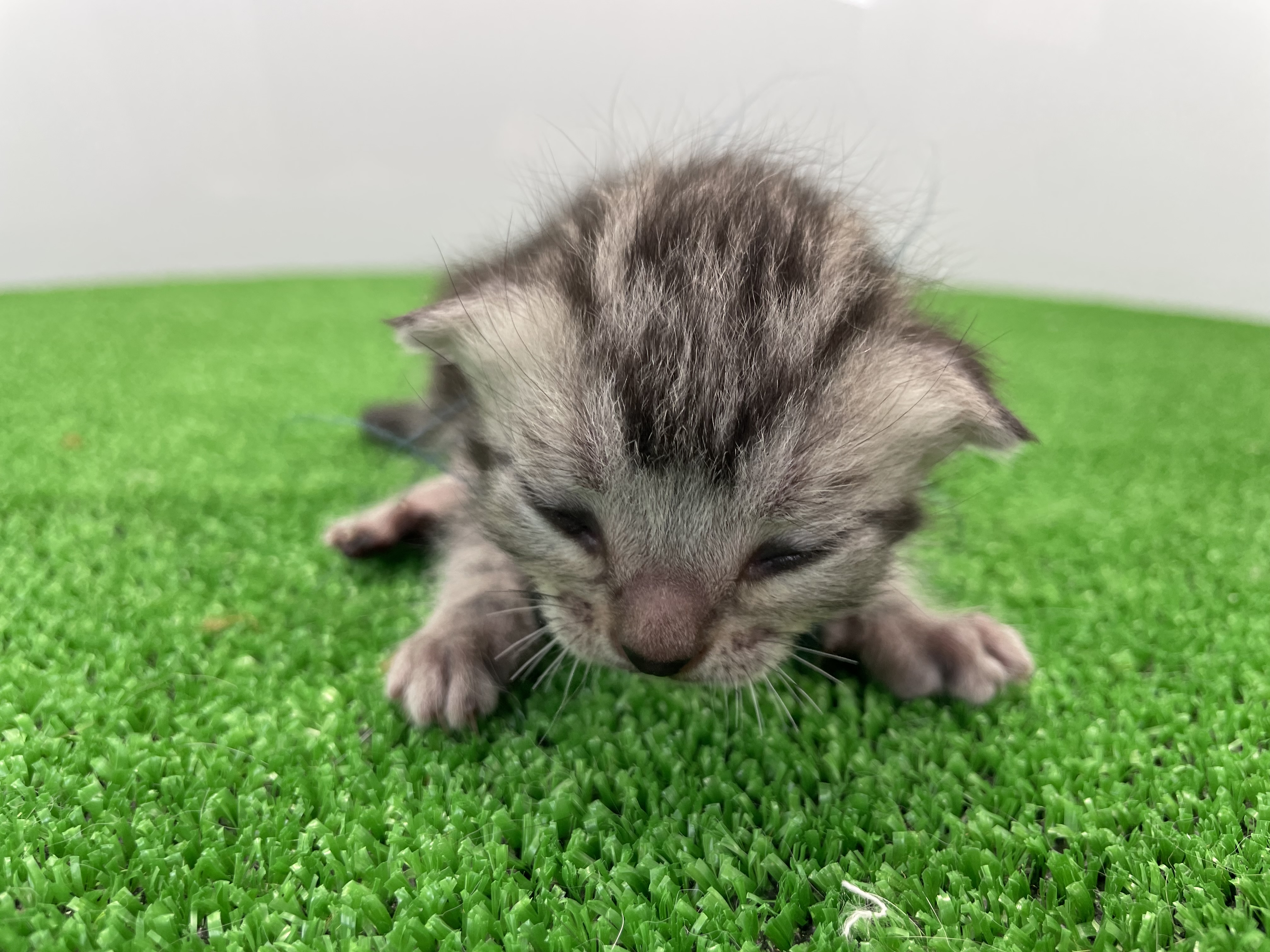 赤ちゃん写真1-1