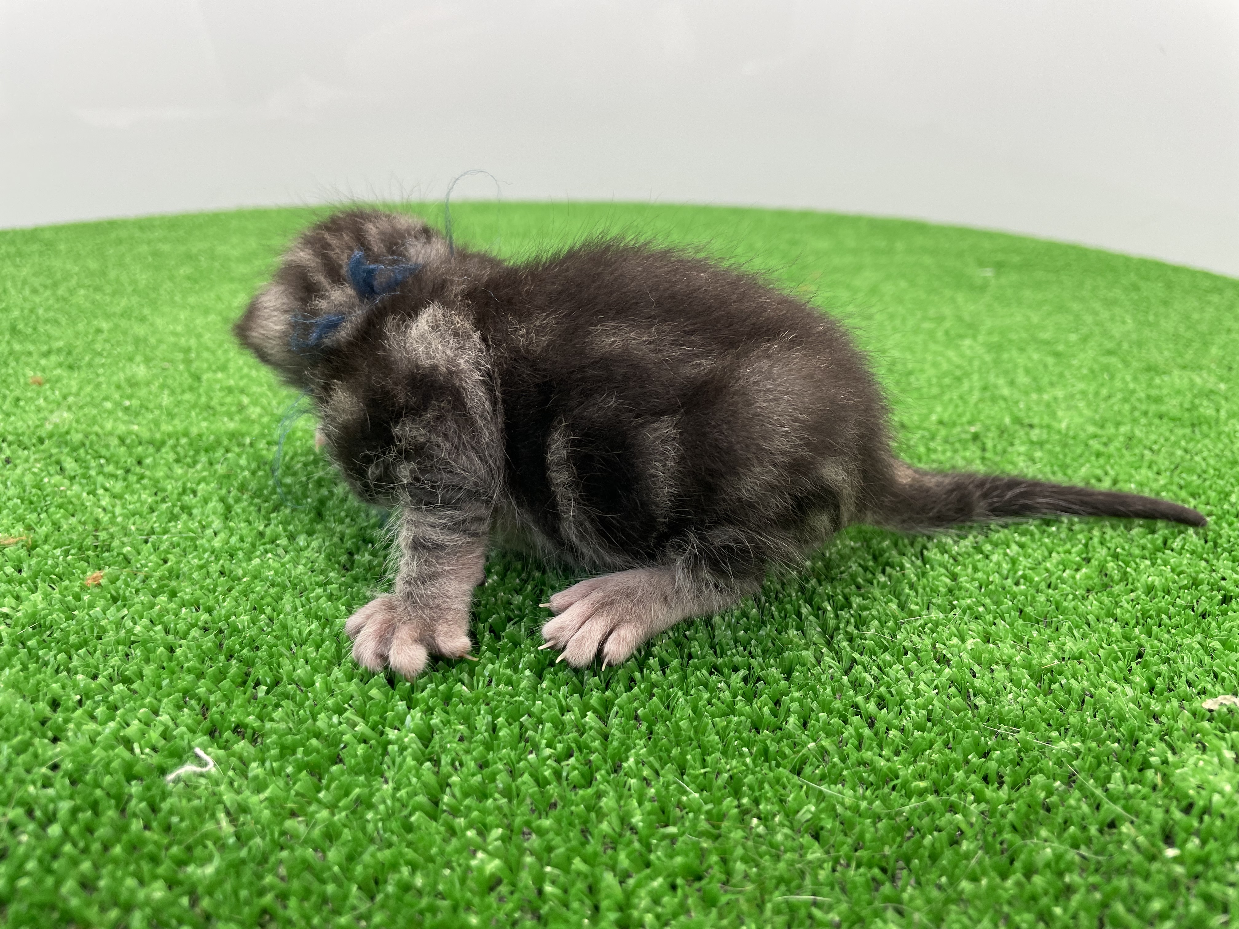 赤ちゃん写真1-2