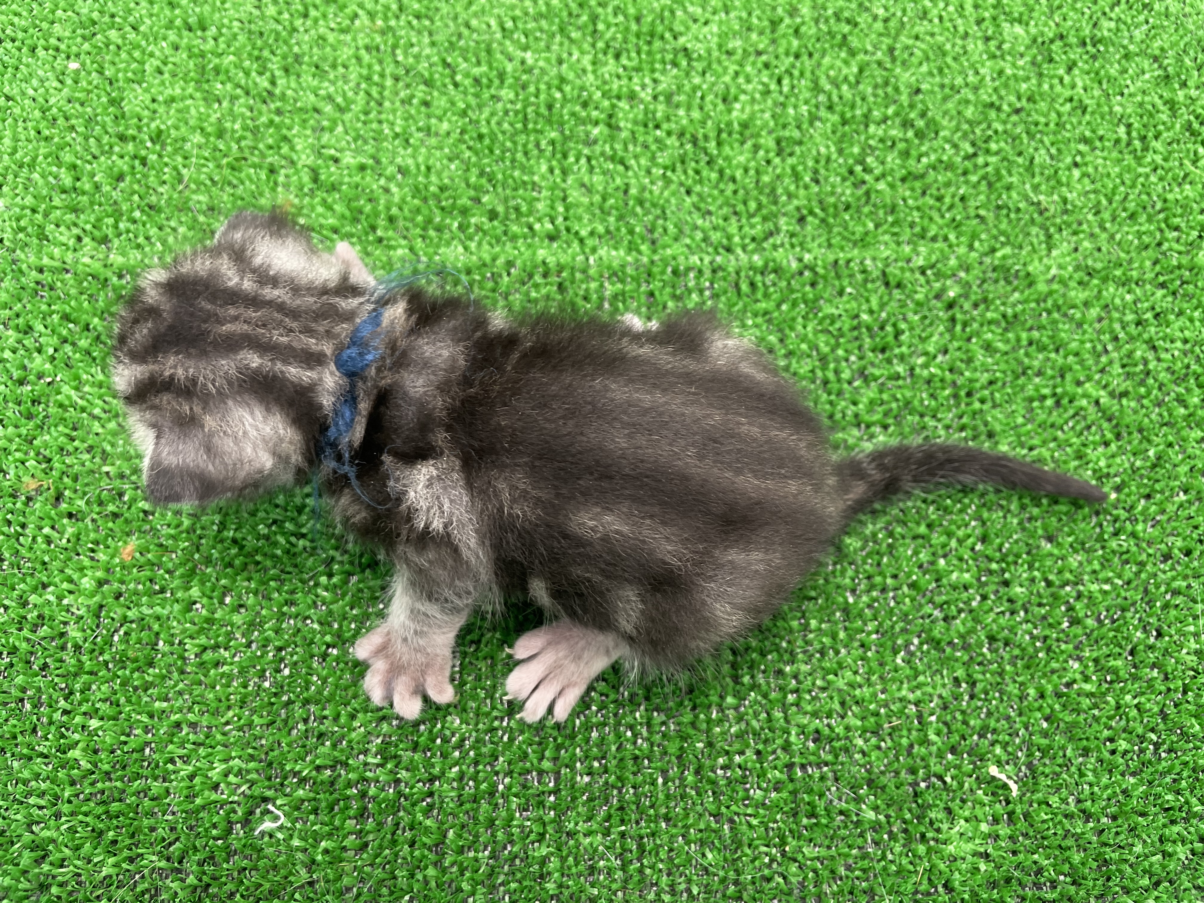 赤ちゃん写真1-3