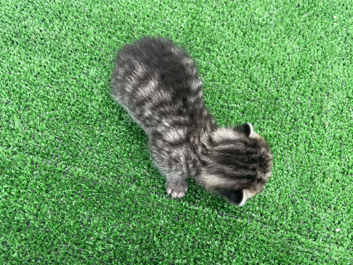 赤ちゃん写真1-3