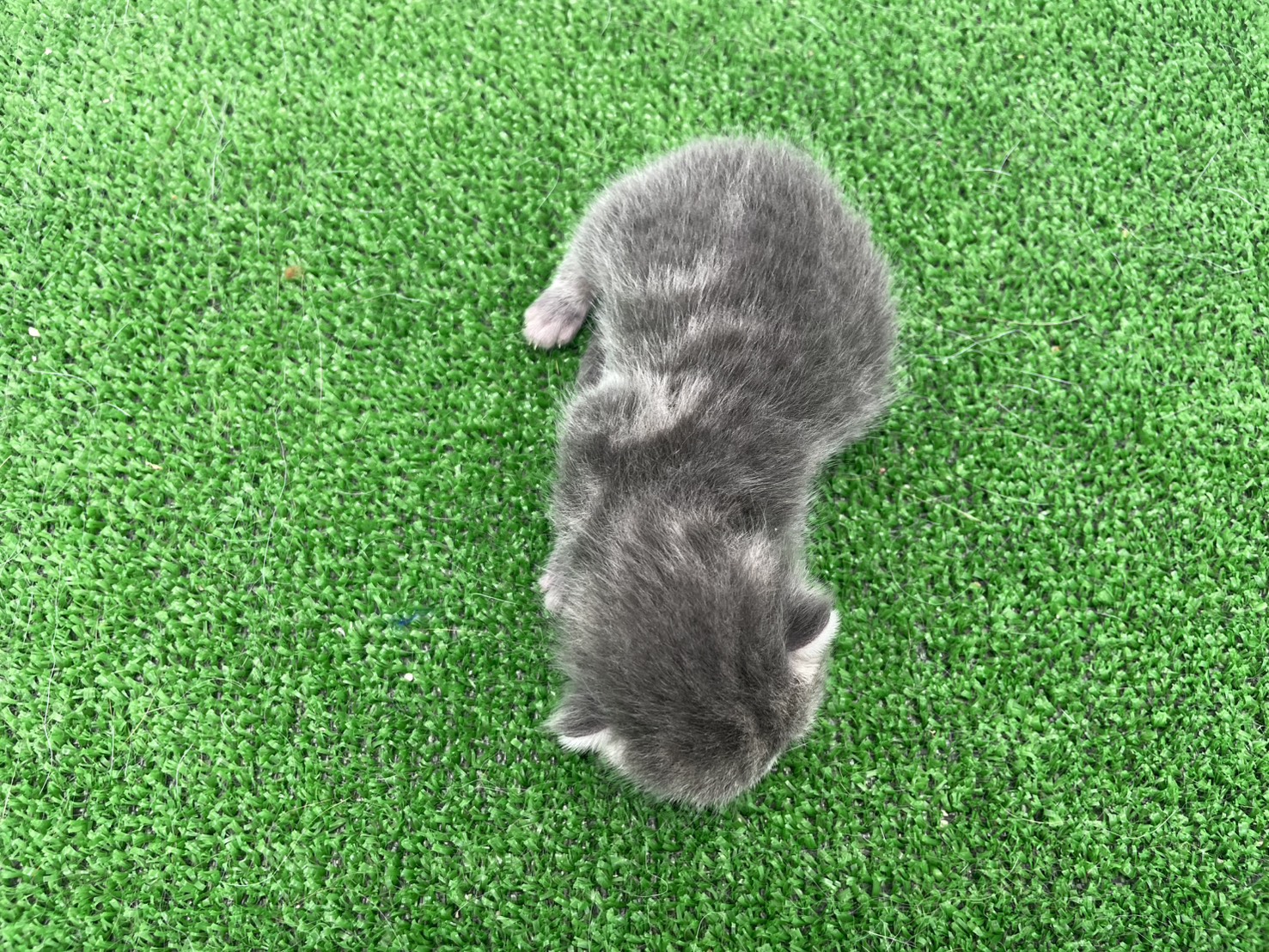 赤ちゃん写真1-3