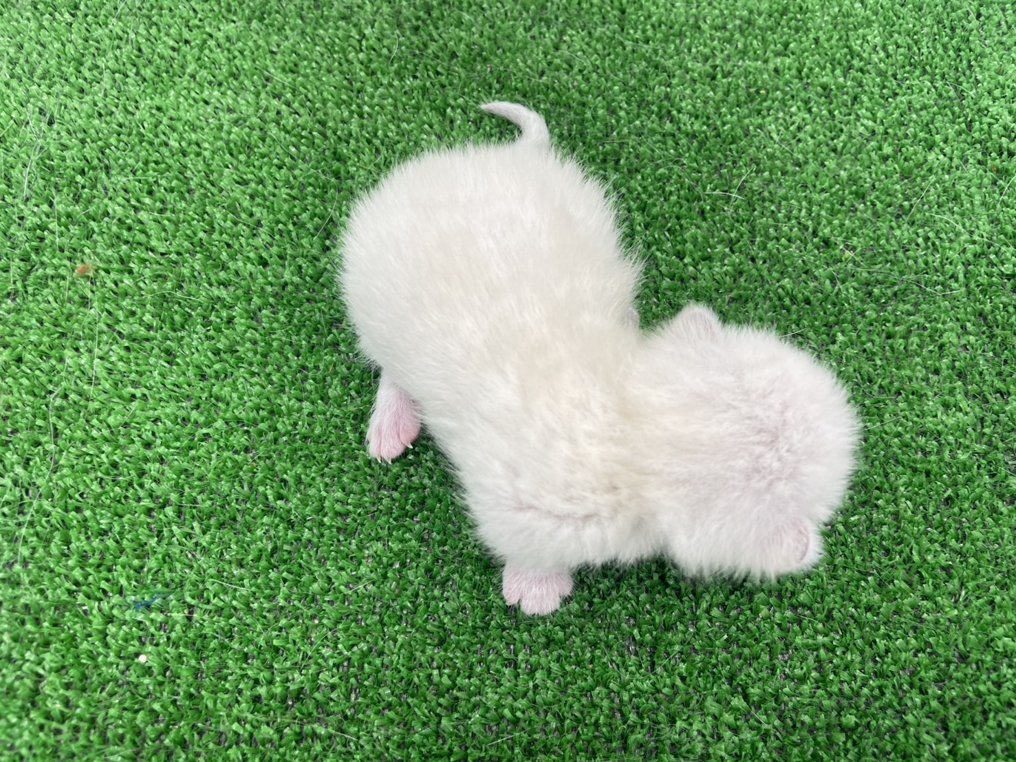 赤ちゃん写真1-3