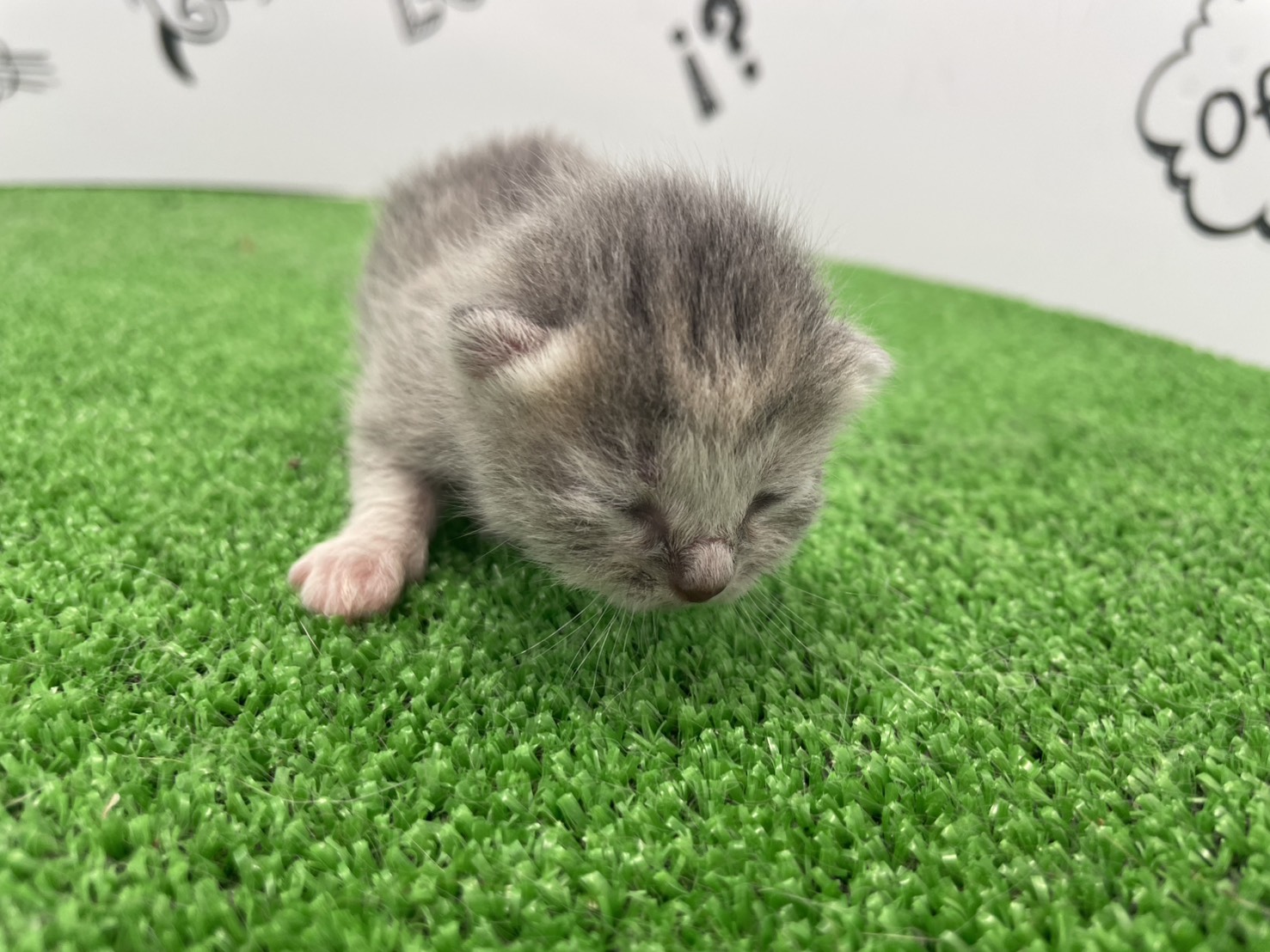 赤ちゃん写真1-1