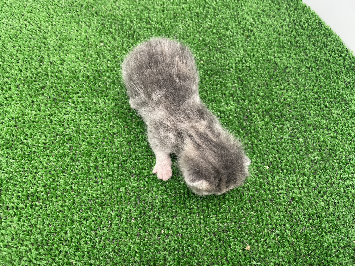 赤ちゃん写真1-3