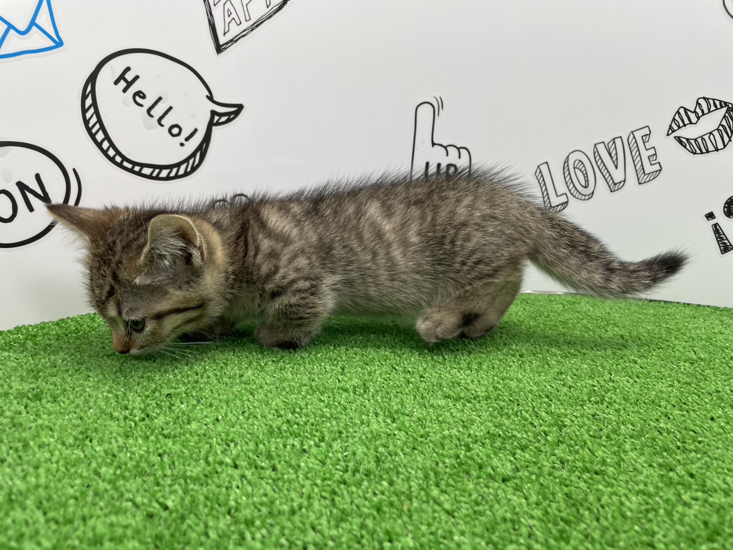 赤ちゃん写真3-2