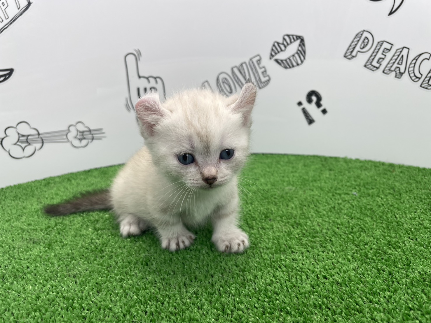 赤ちゃん写真3-1