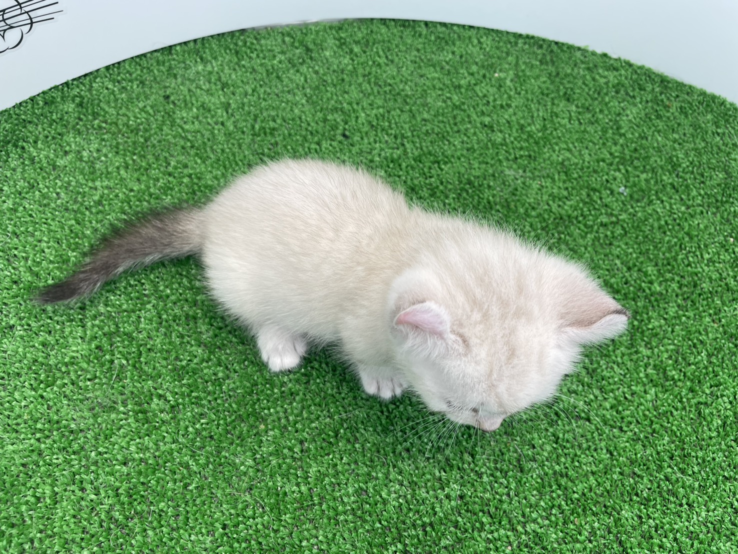 赤ちゃん写真3-3