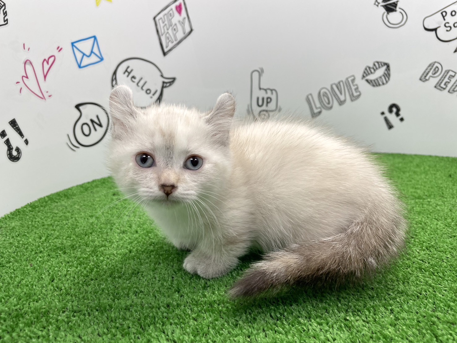 赤ちゃん写真2-1