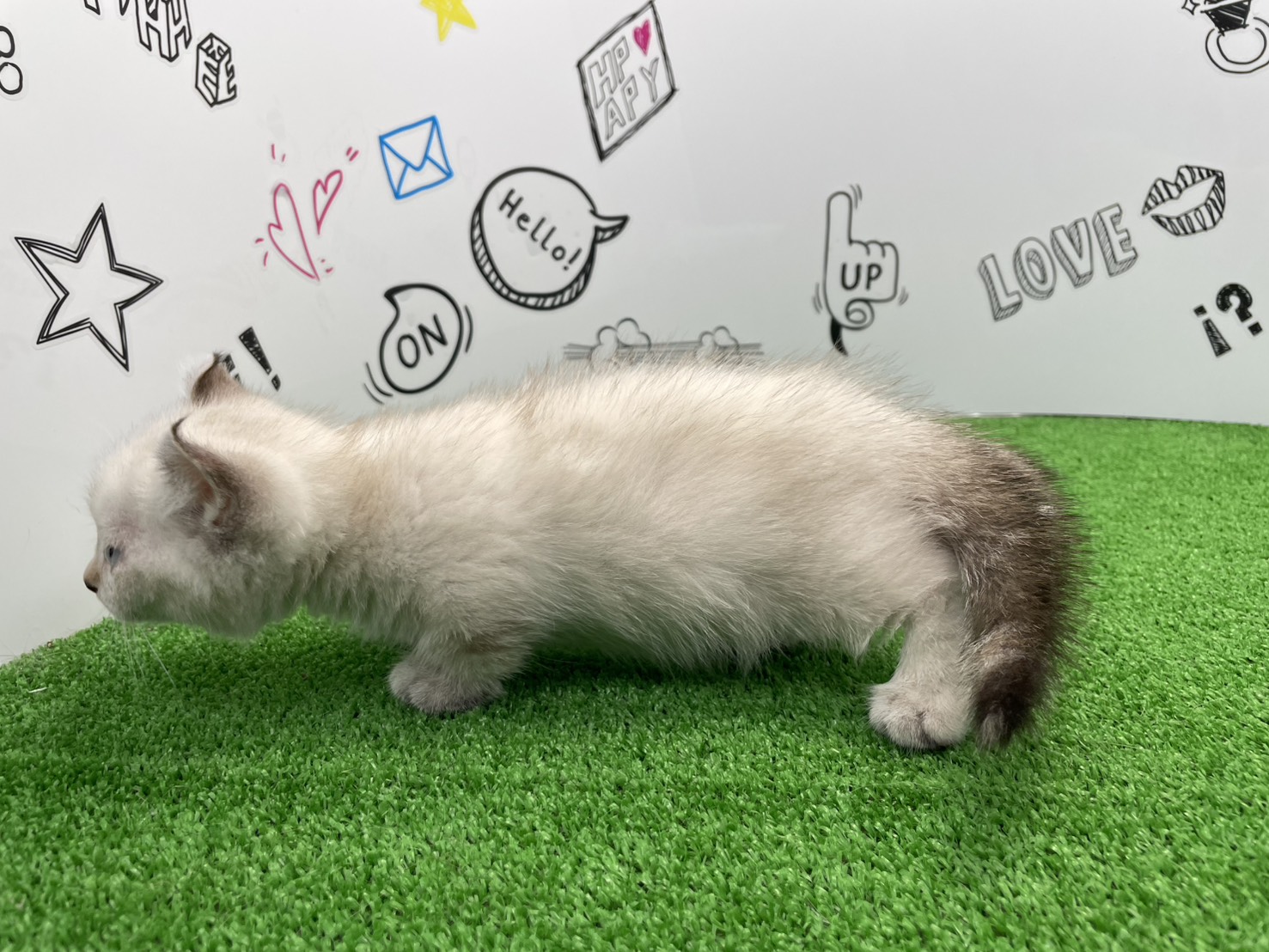 赤ちゃん写真2-2