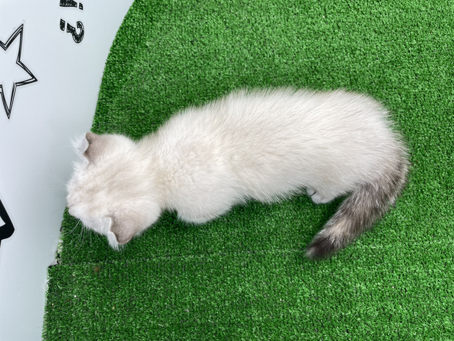 赤ちゃん写真2-3
