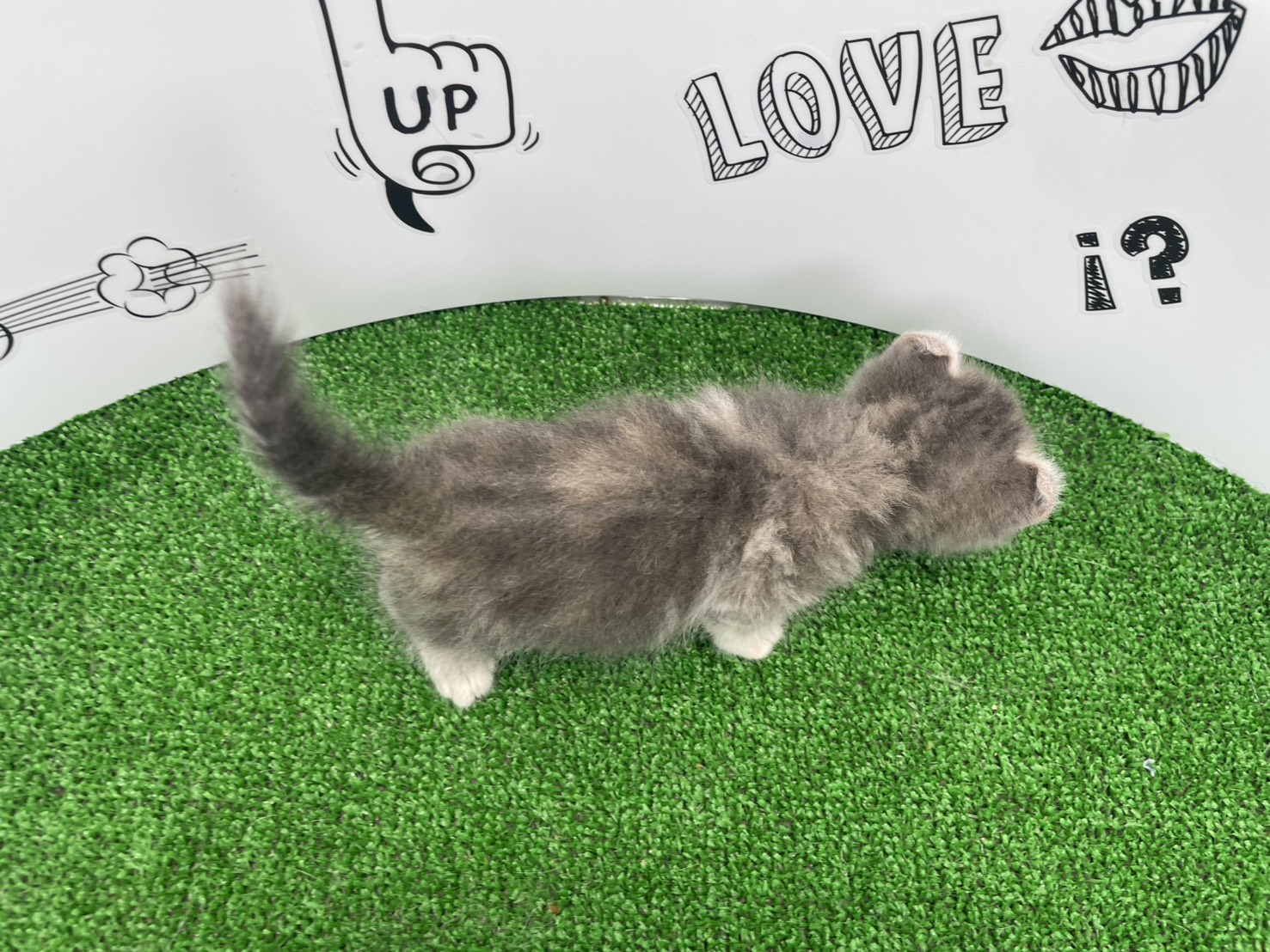 赤ちゃん写真3-3