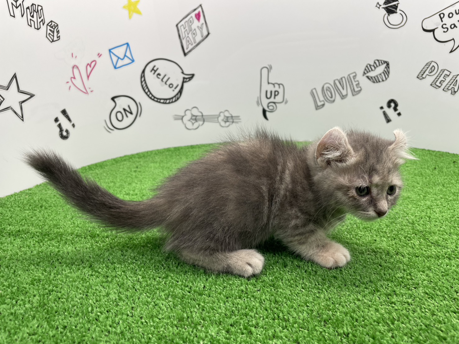 赤ちゃん写真2-2