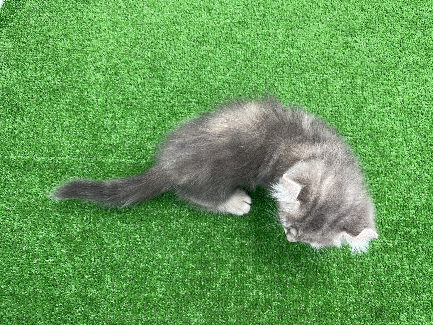 赤ちゃん写真2-3