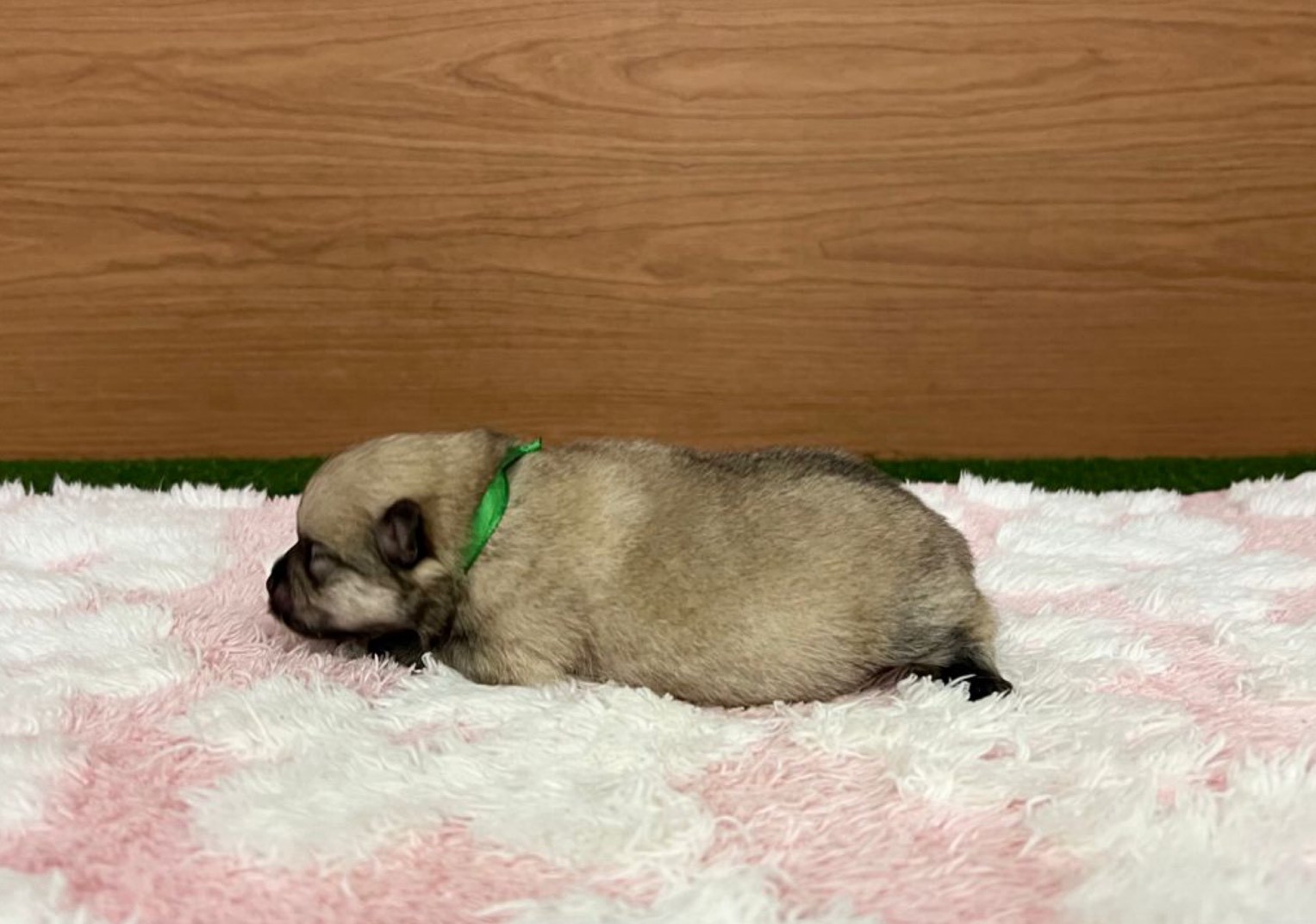 赤ちゃん写真1-2