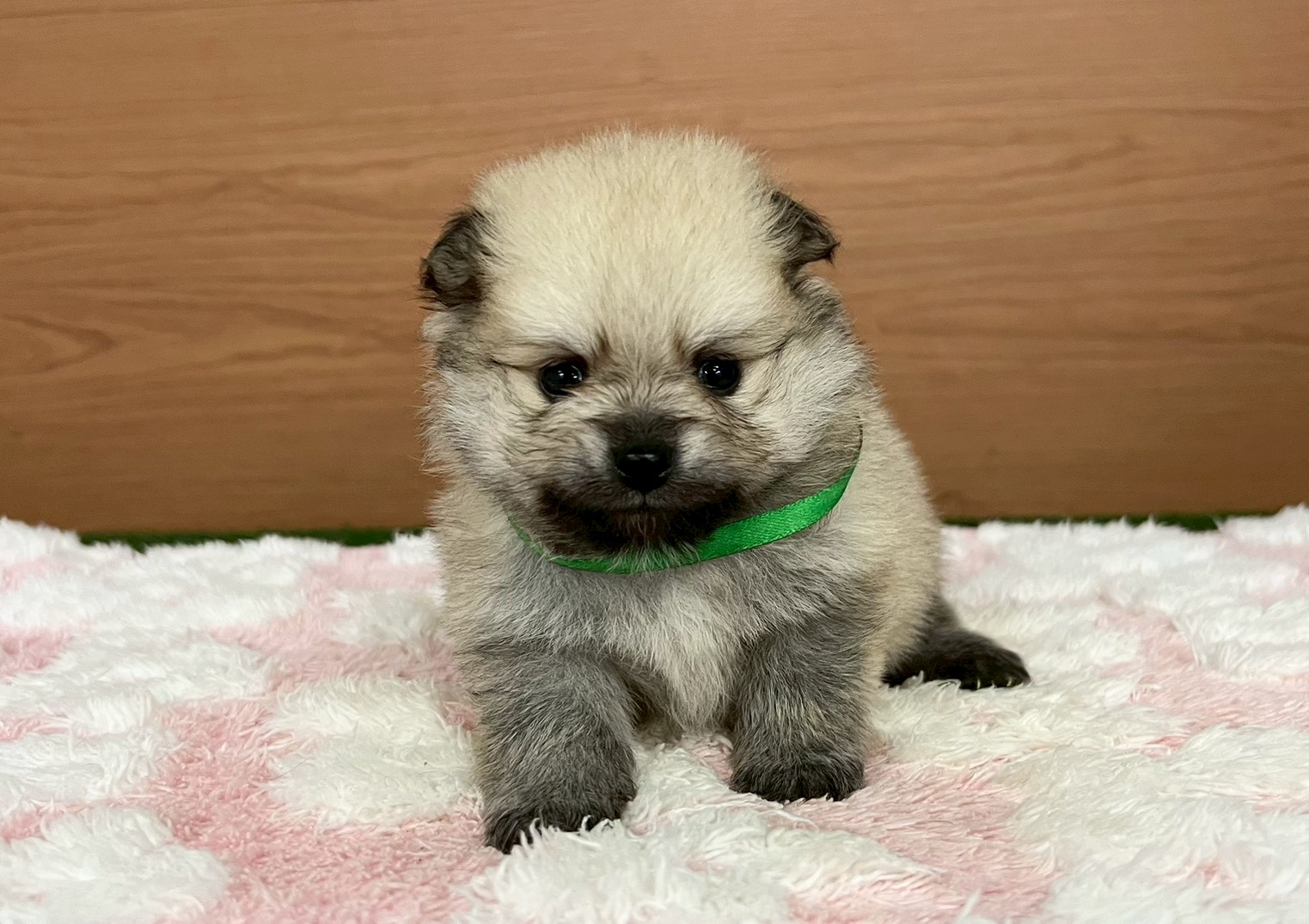 赤ちゃん写真2-1