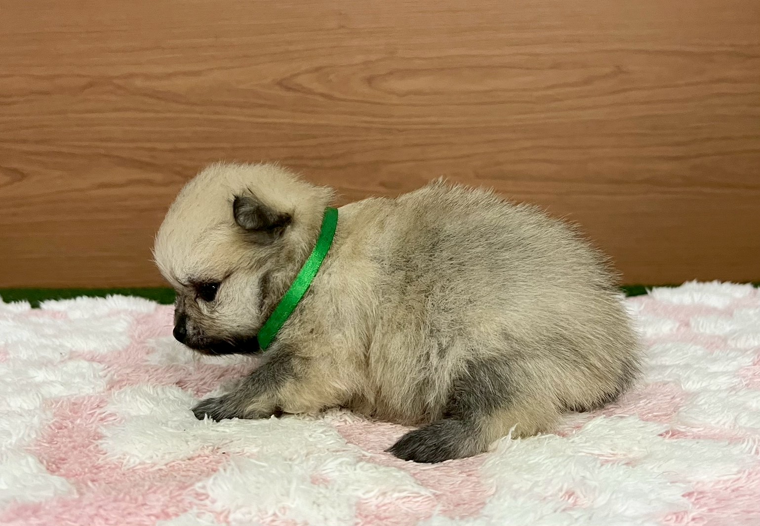 赤ちゃん写真2-2