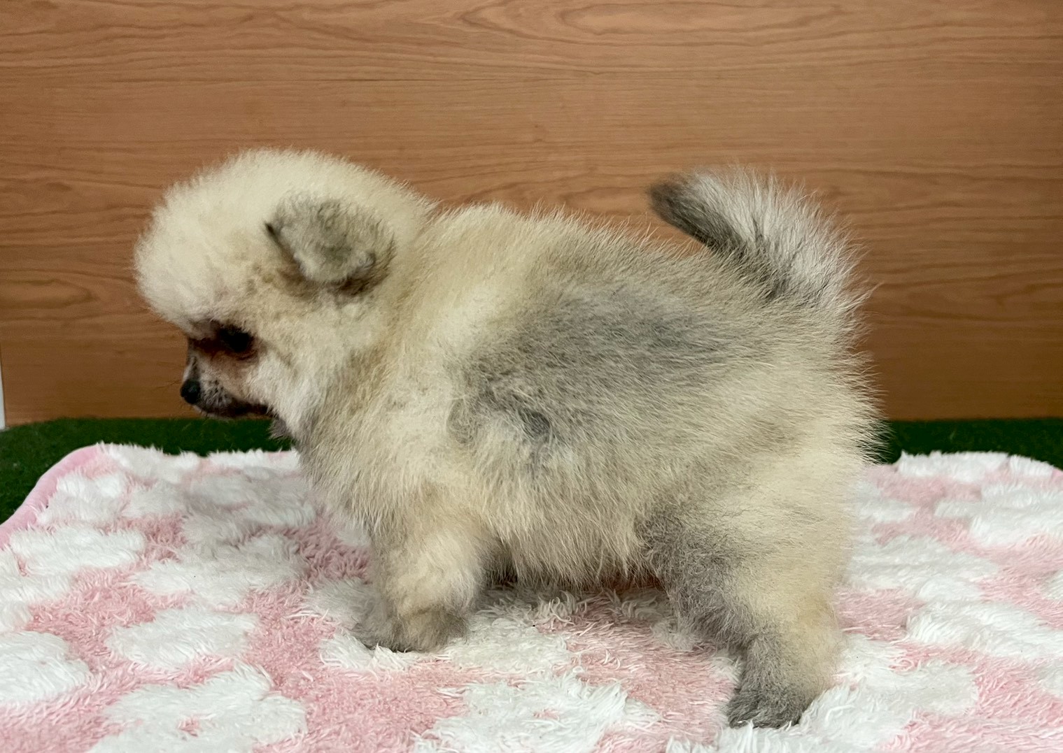 赤ちゃん写真3-2