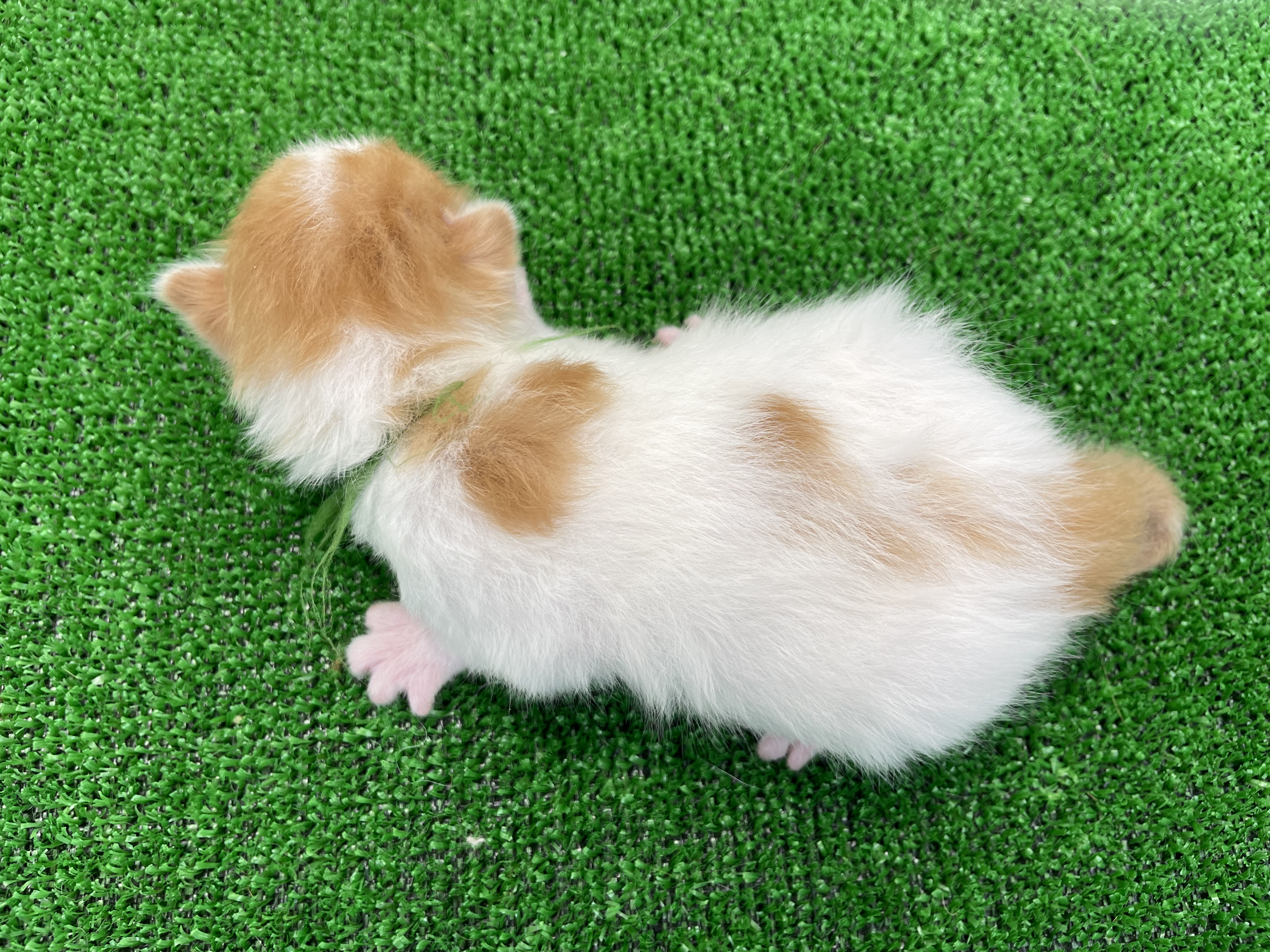 赤ちゃん写真1-3
