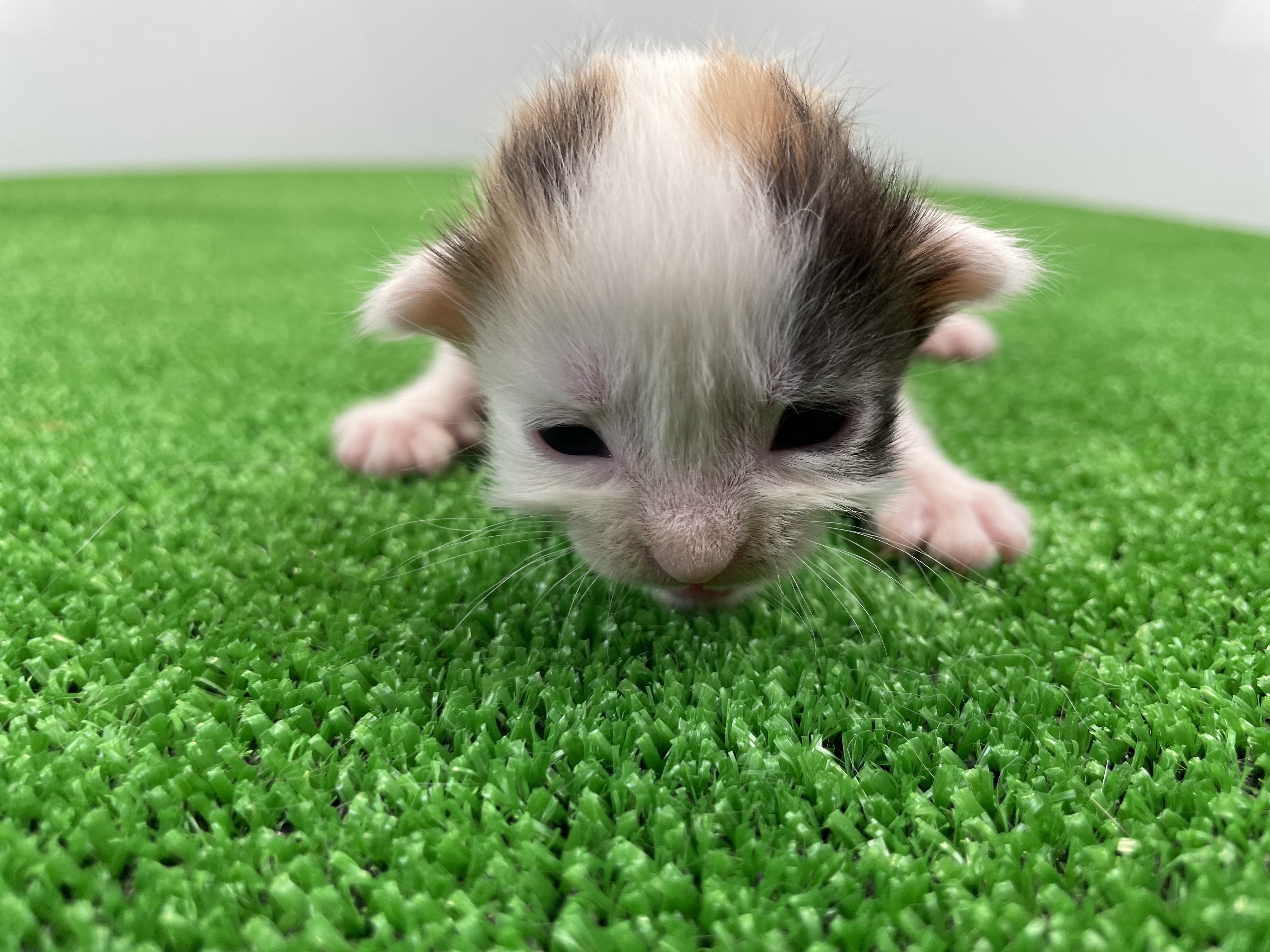 赤ちゃん写真1-1
