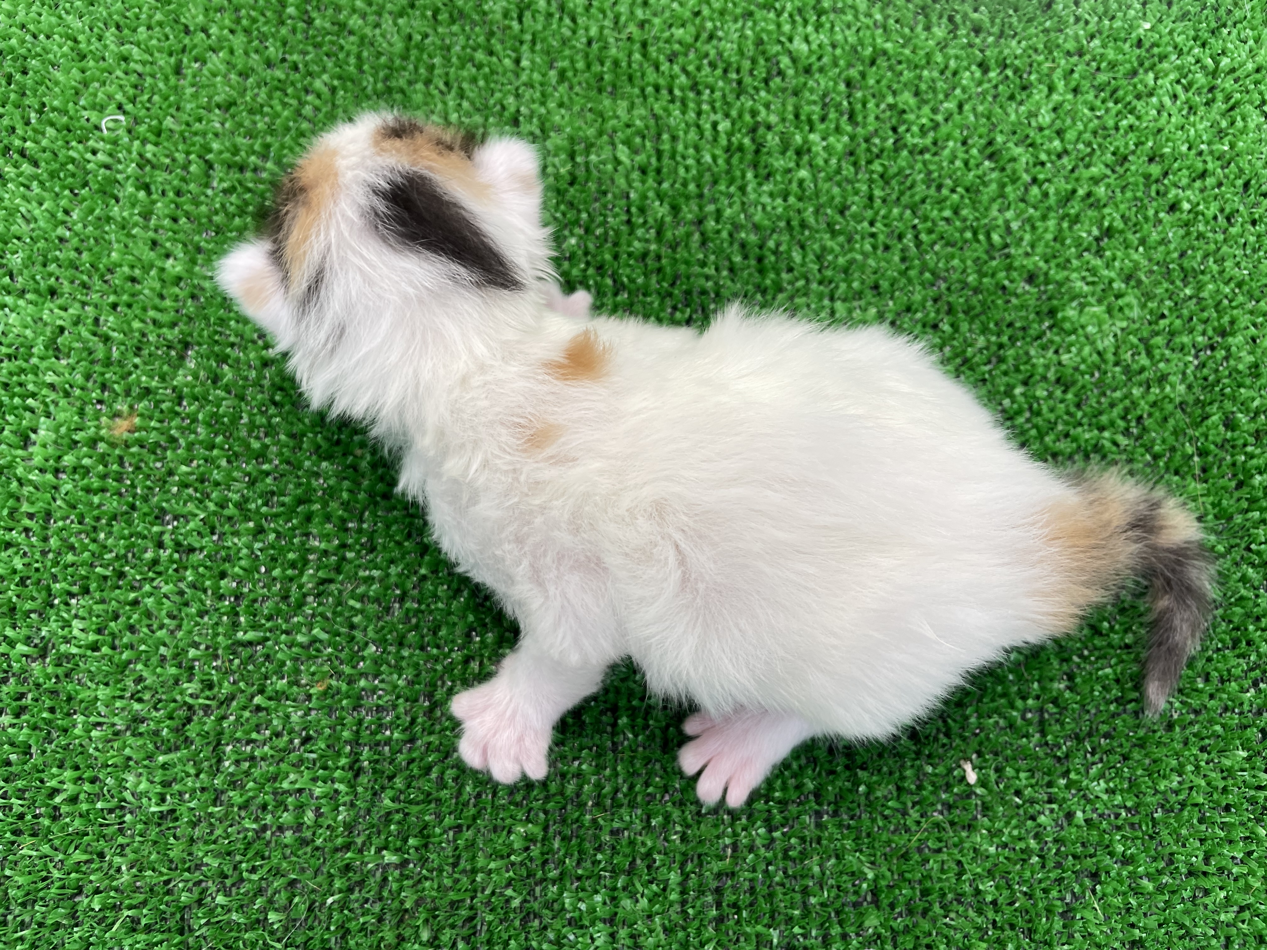 赤ちゃん写真1-3