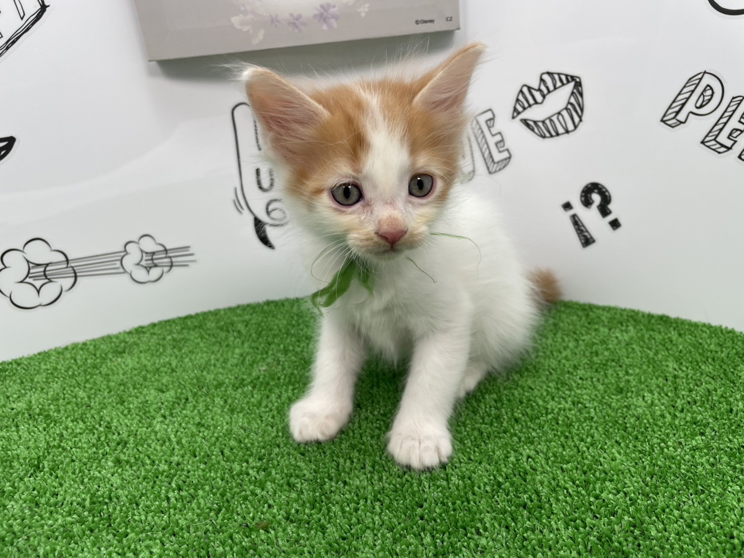 赤ちゃん写真2-1