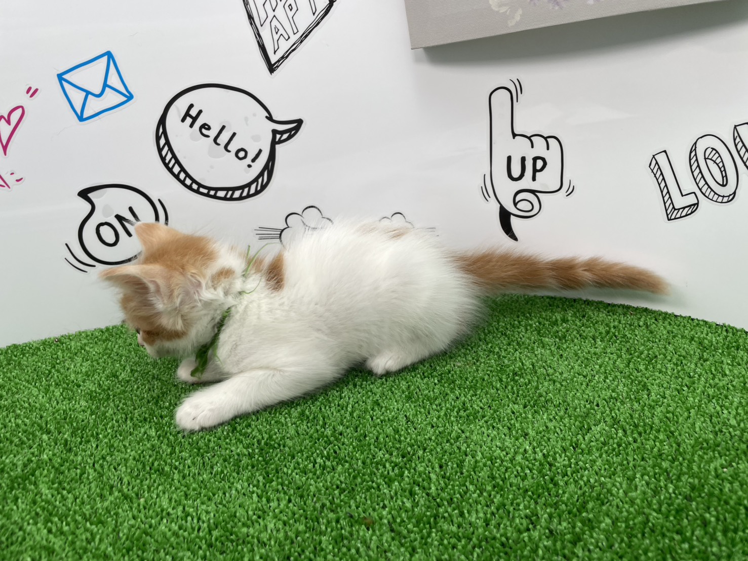 赤ちゃん写真2-2