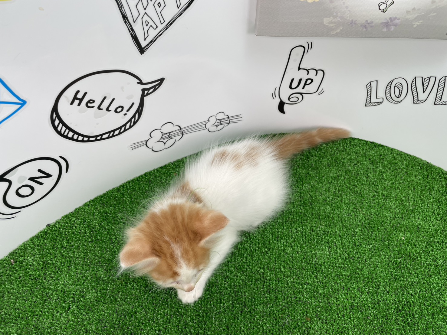赤ちゃん写真2-3