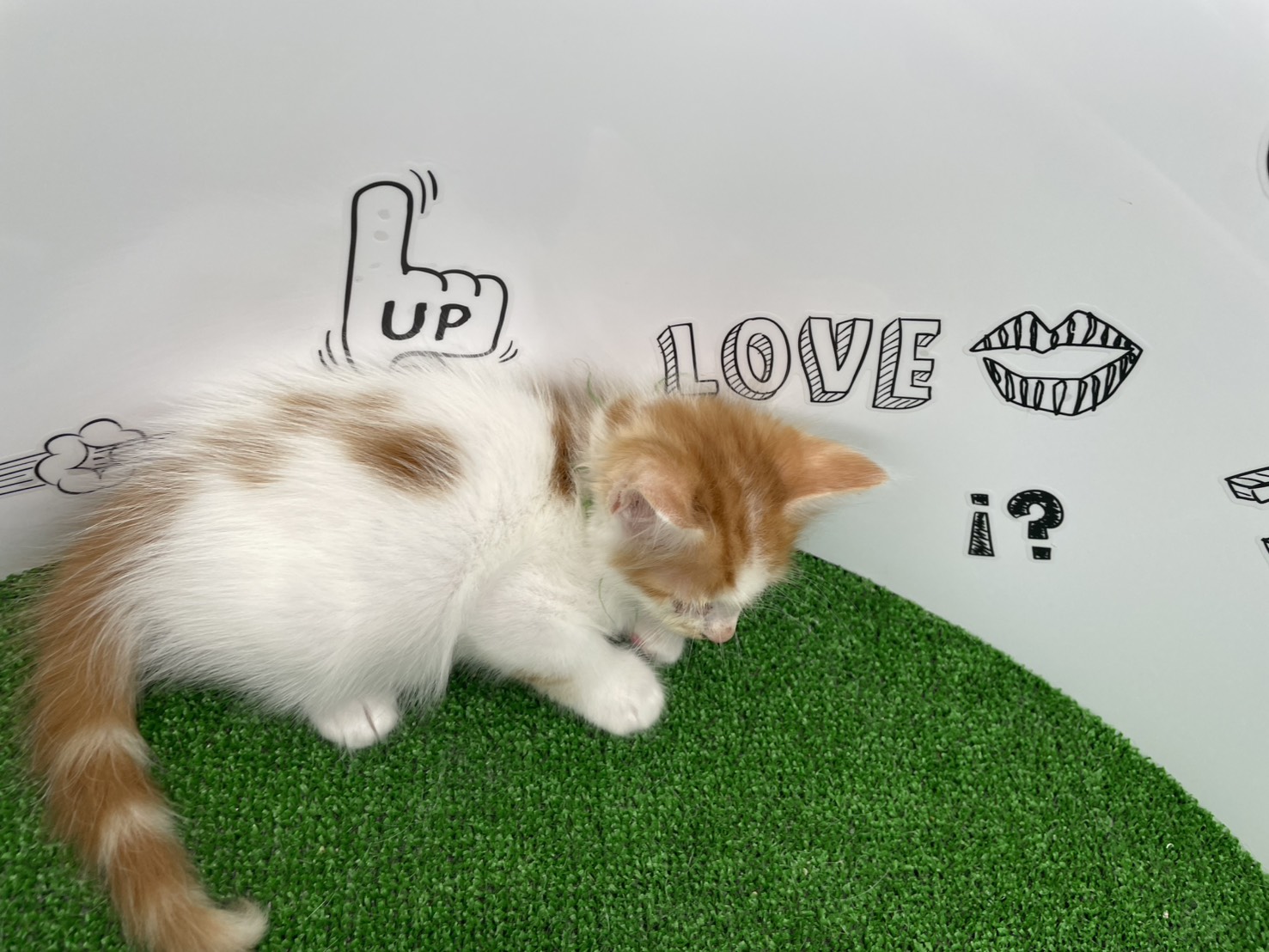 赤ちゃん写真3-3